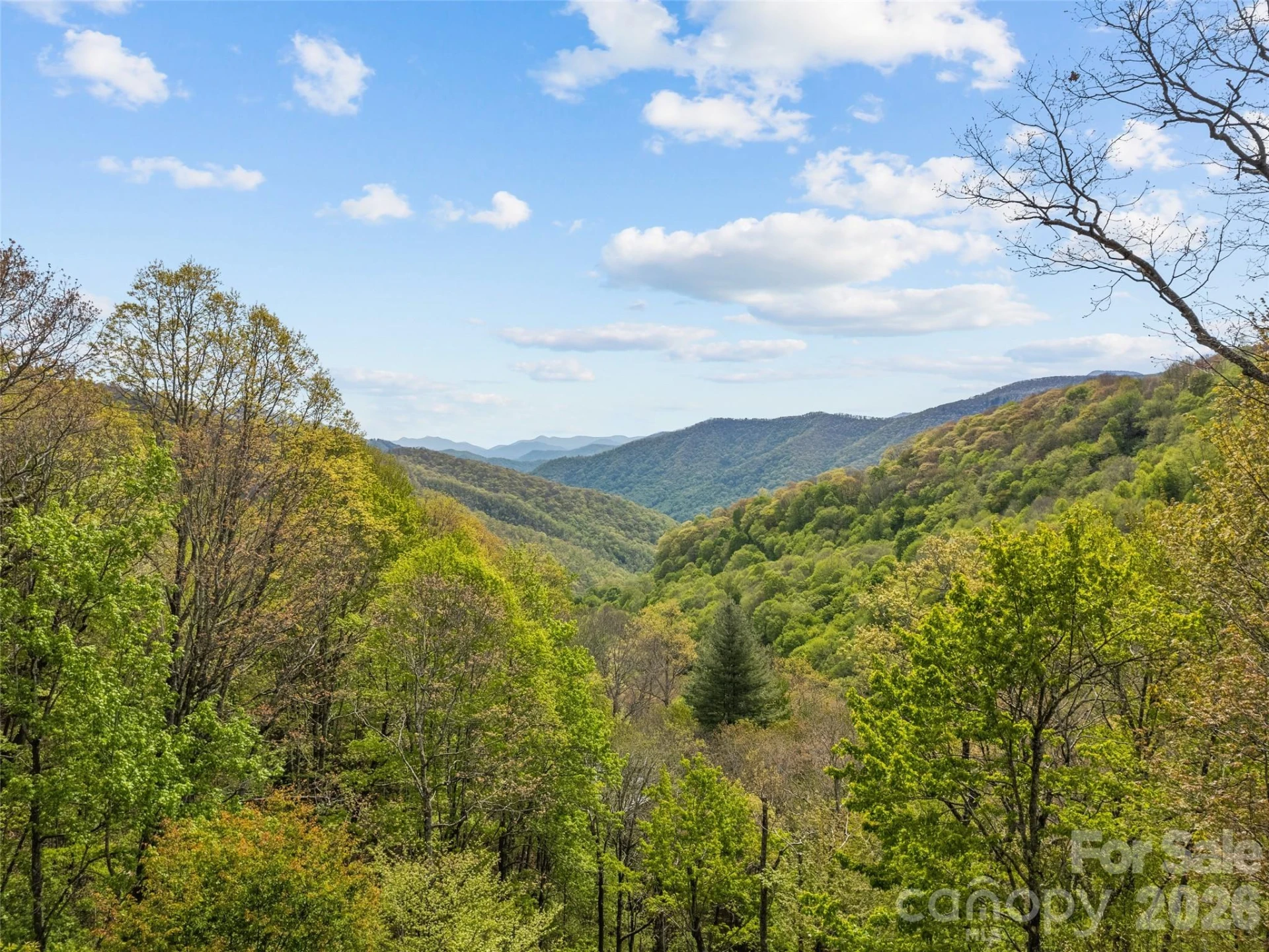 128 Serendipity Trail - Photo 8