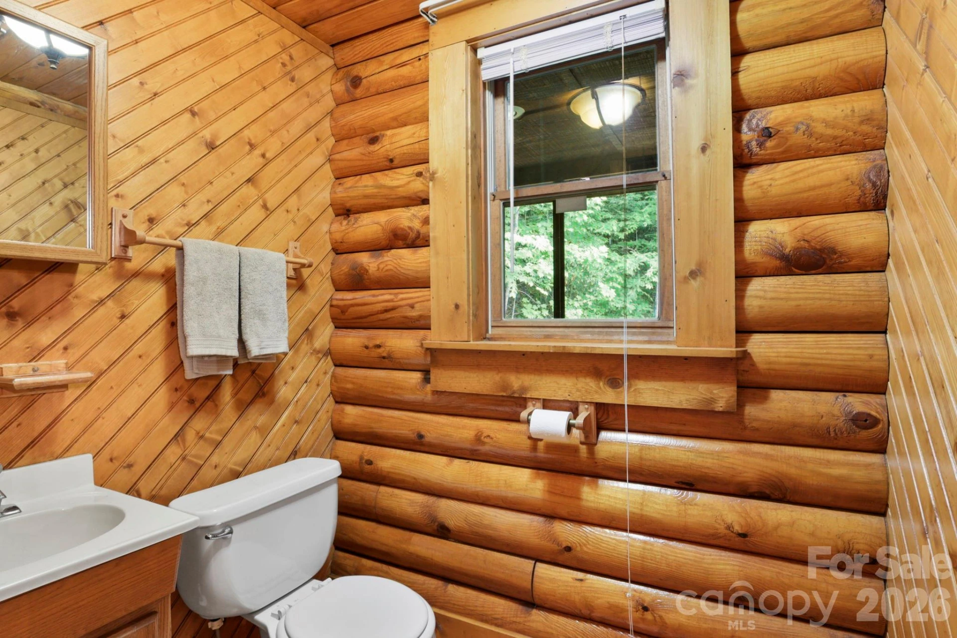 5 Rustic Ridge Drive - Photo 20