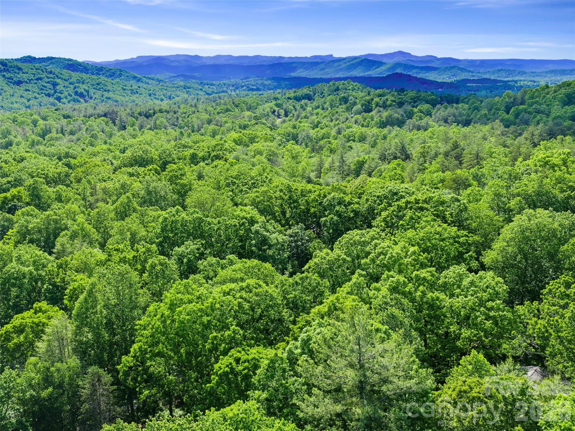 303 Brightwater Heights Drive - Photo 45