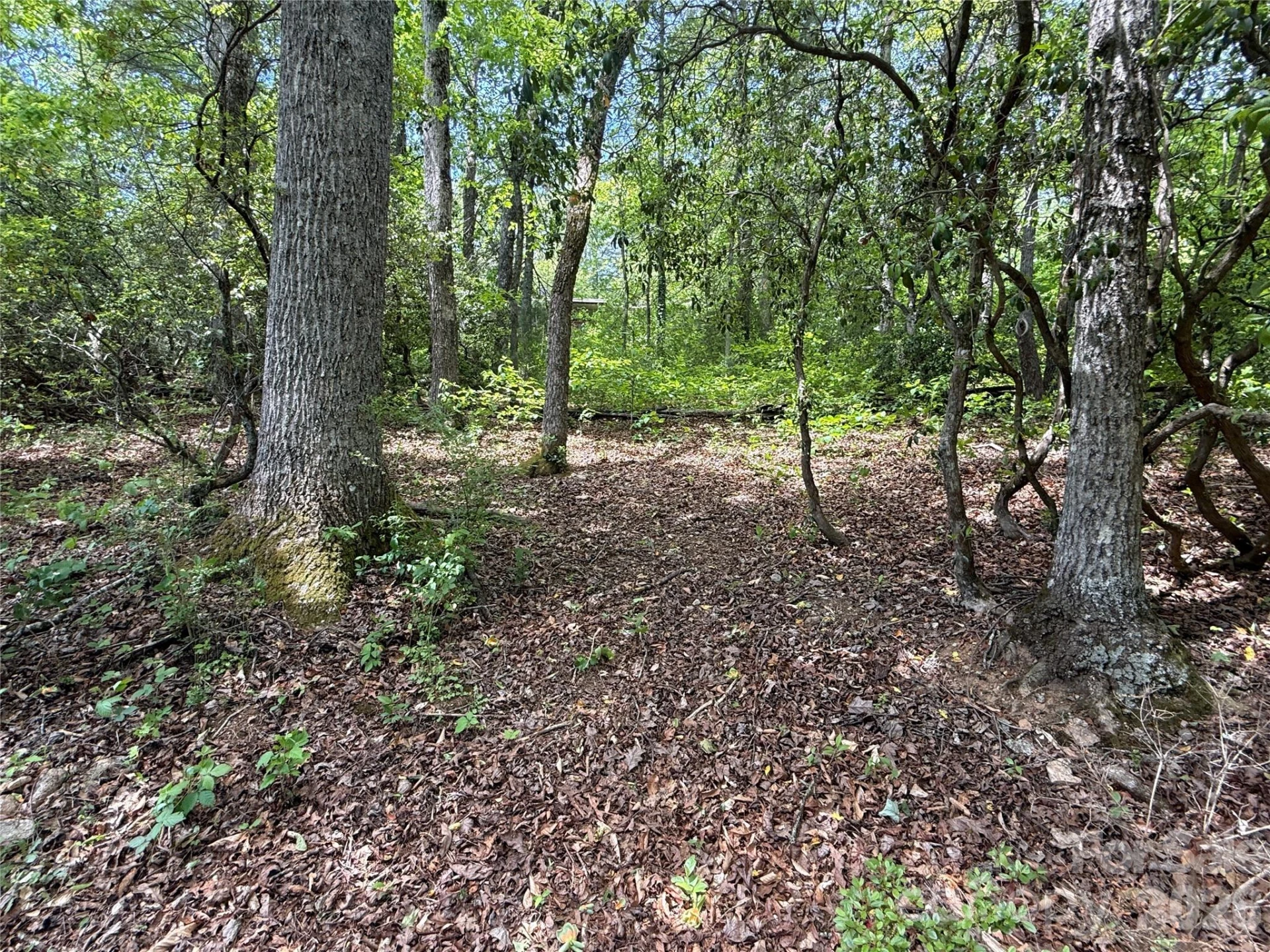 39 Lisa Court #11 - Photo 11