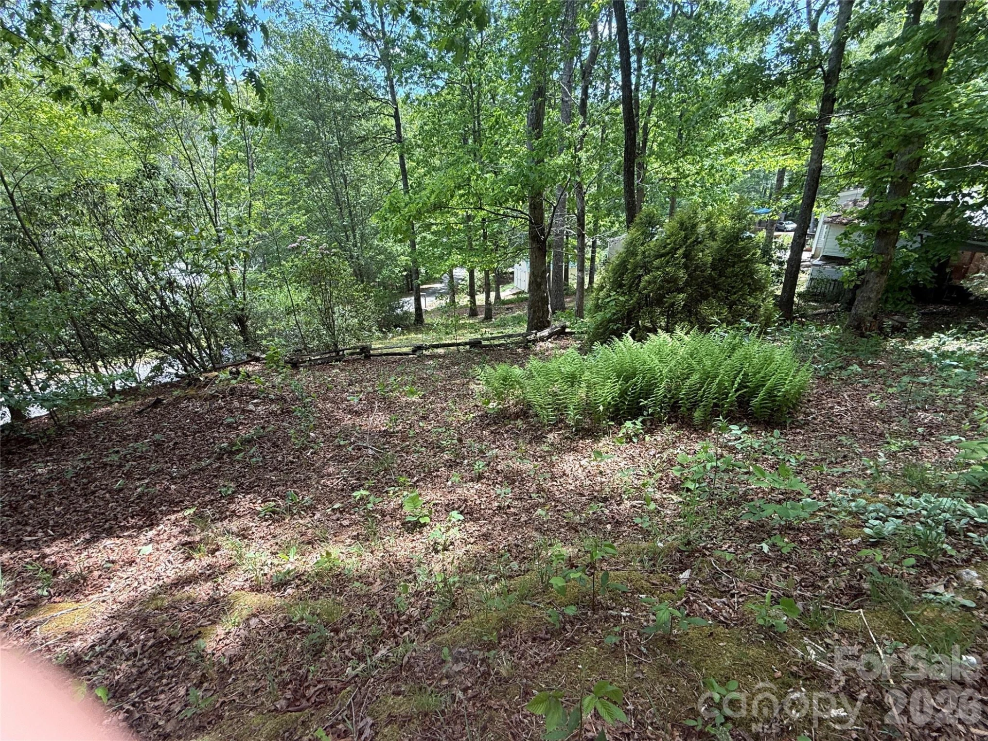 39 Lisa Court #11 - Photo 12