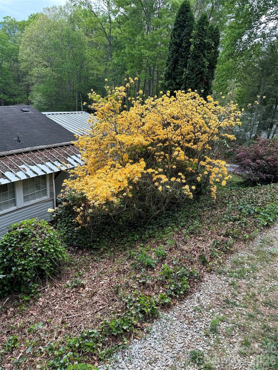 39 Lisa Court #11 - Photo 6