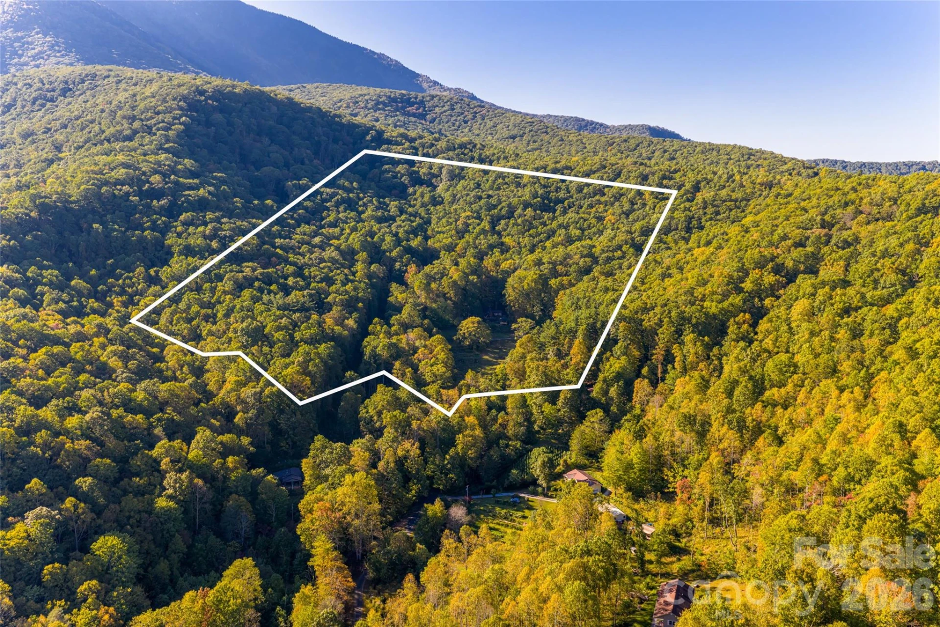 360 Banjo Branch Road - Photo 2