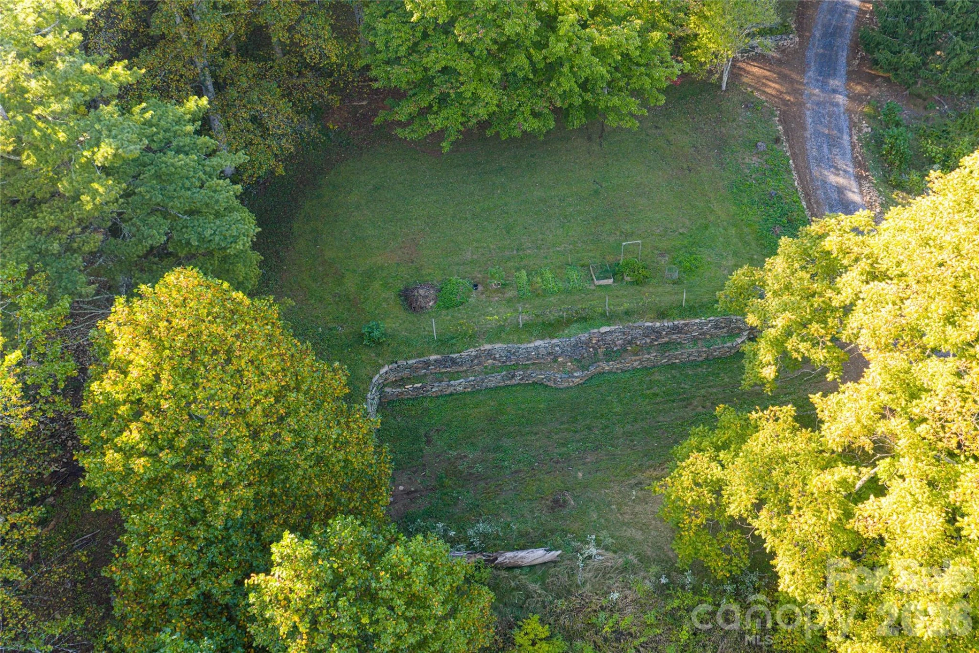 360 Banjo Branch Road - Photo 11