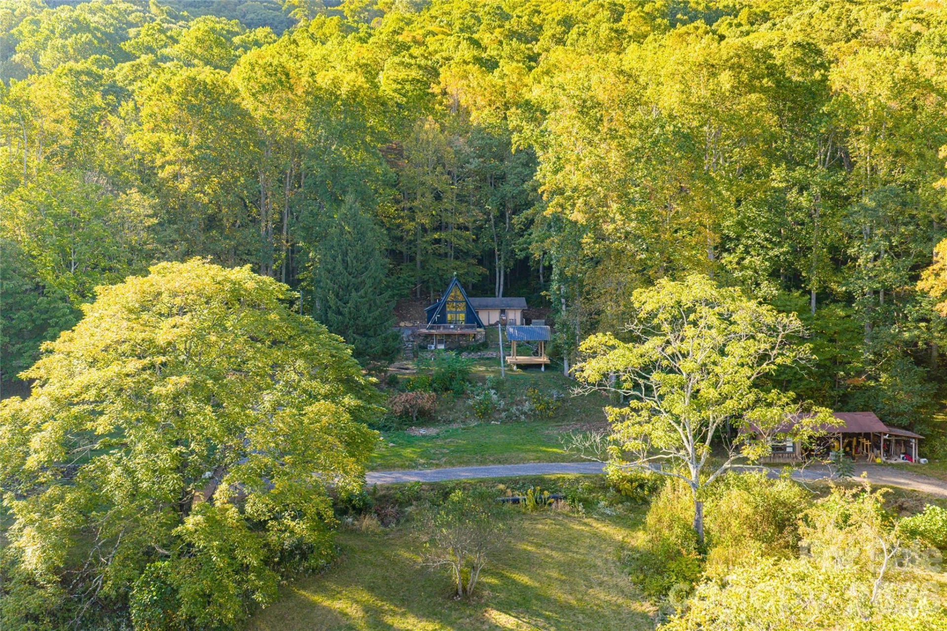 360 Banjo Branch Road - Photo 3