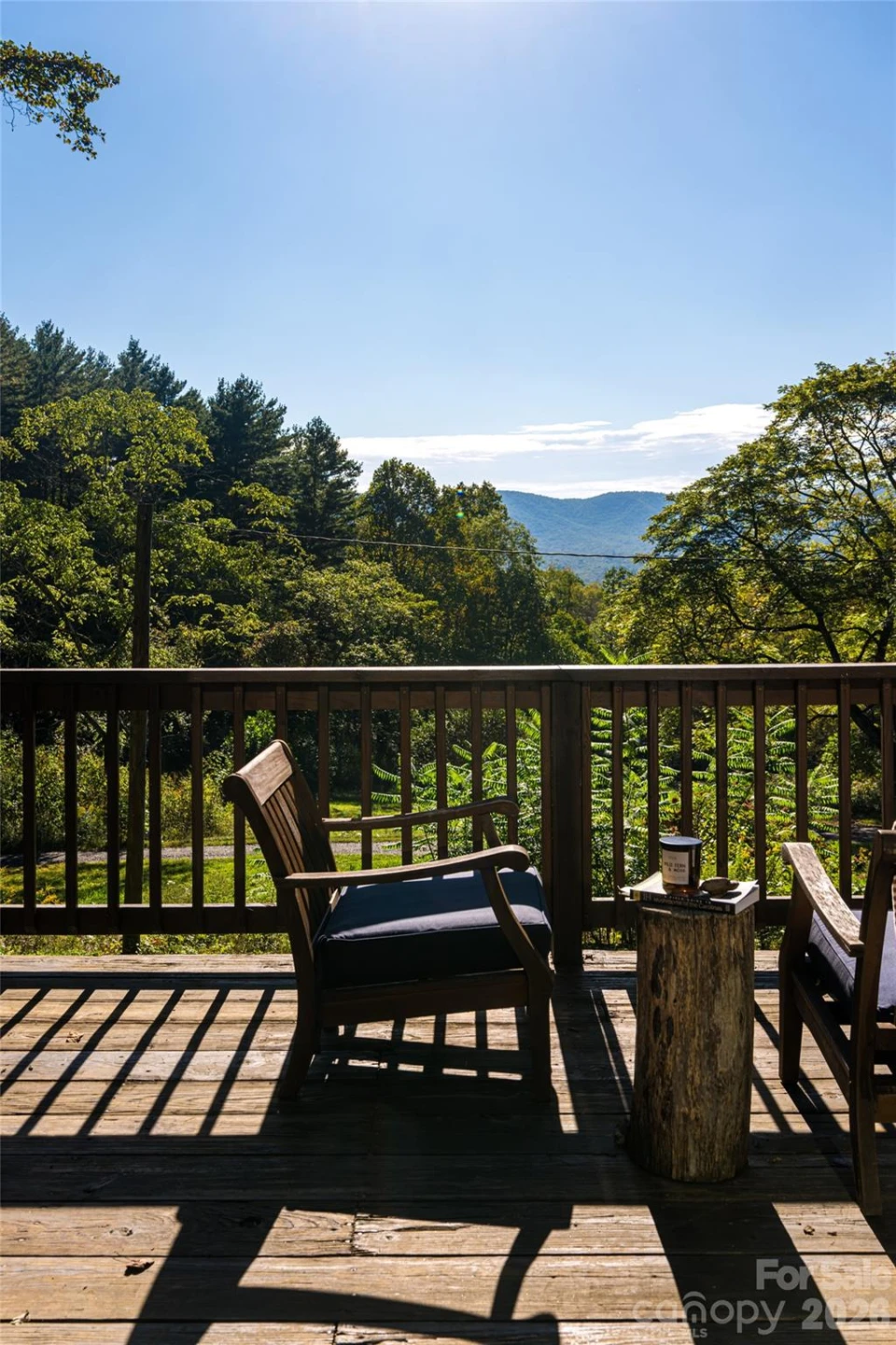 360 Banjo Branch Road - Photo 27