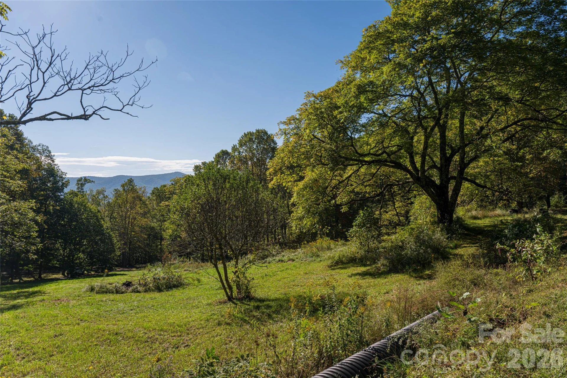 360 Banjo Branch Road - Photo 30