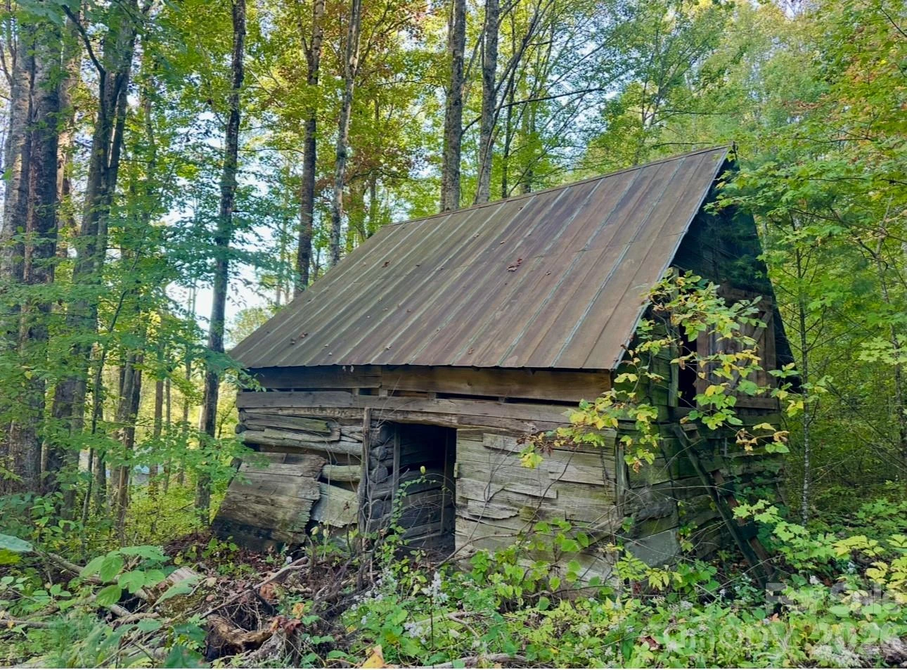 360 Banjo Branch Road - Photo 34