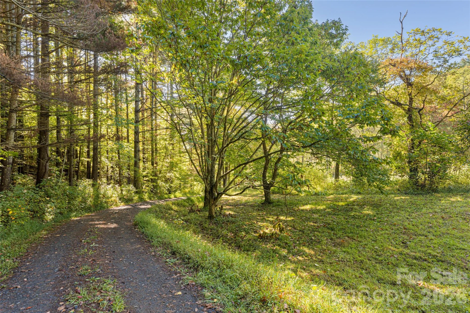 360 Banjo Branch Road - Photo 37