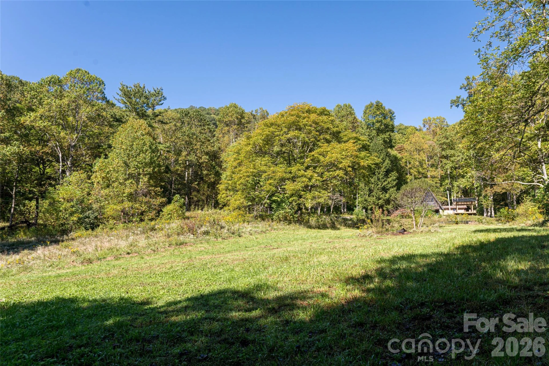 360 Banjo Branch Road - Photo 38