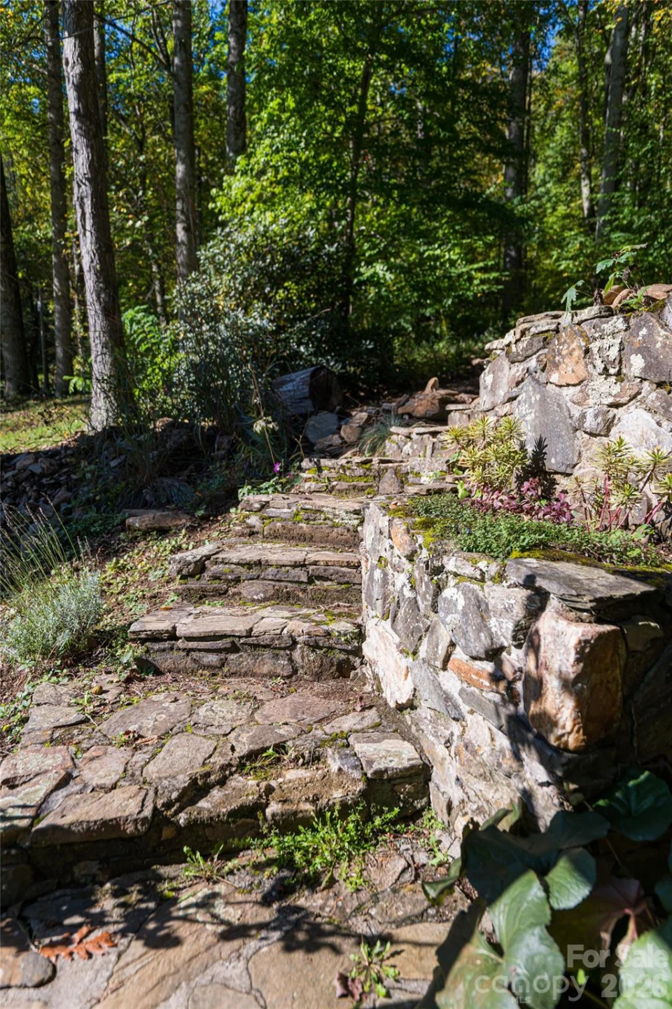 360 Banjo Branch Road - Photo 44