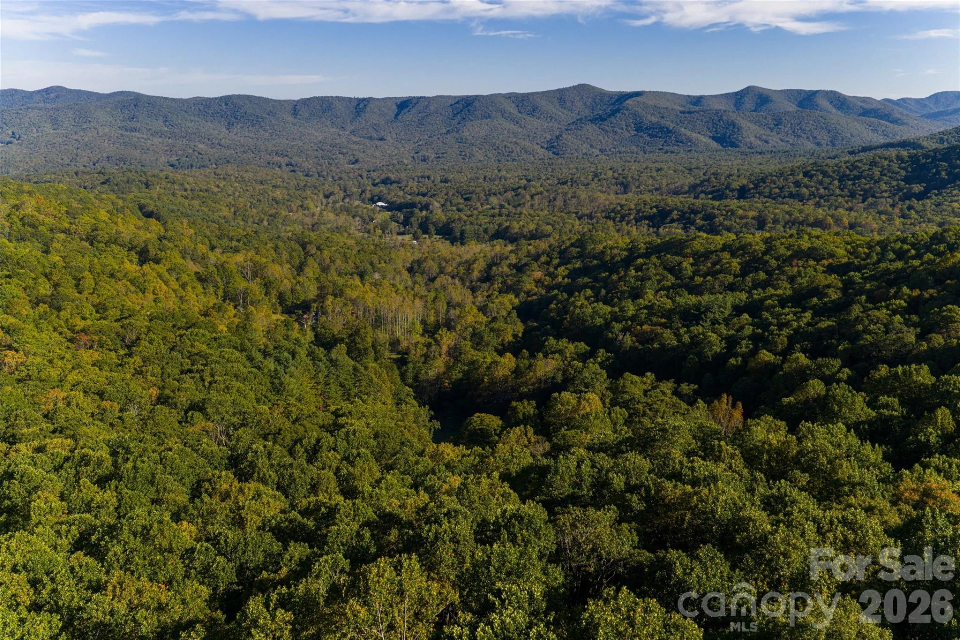 360 Banjo Branch Road - Photo 46