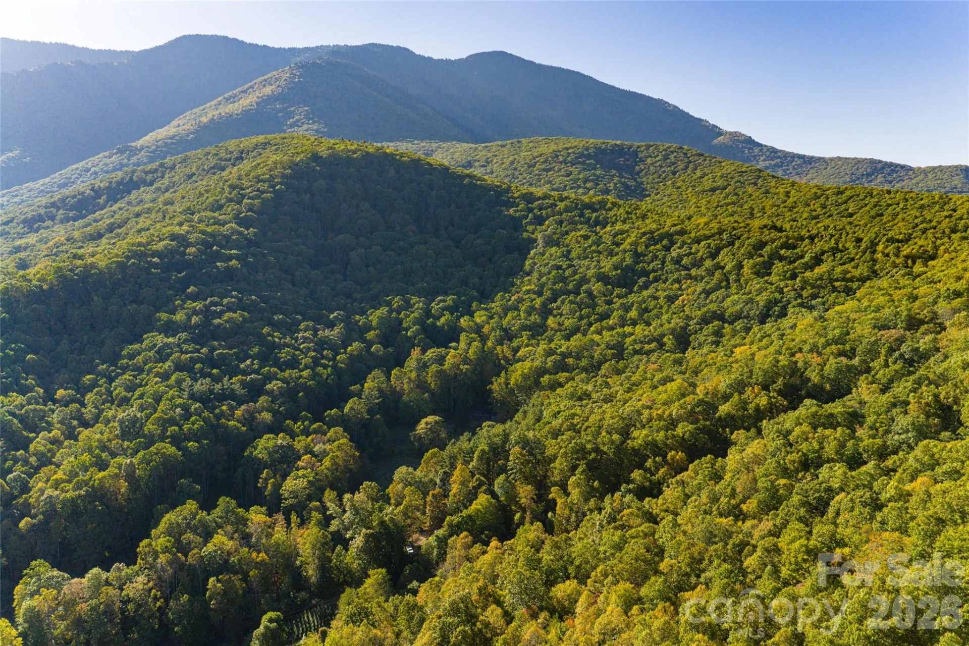 360 Banjo Branch Road - Photo 9