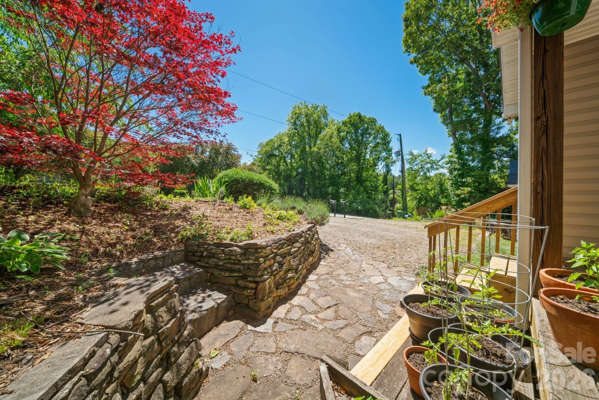 33 Wilmington Street - Photo 45