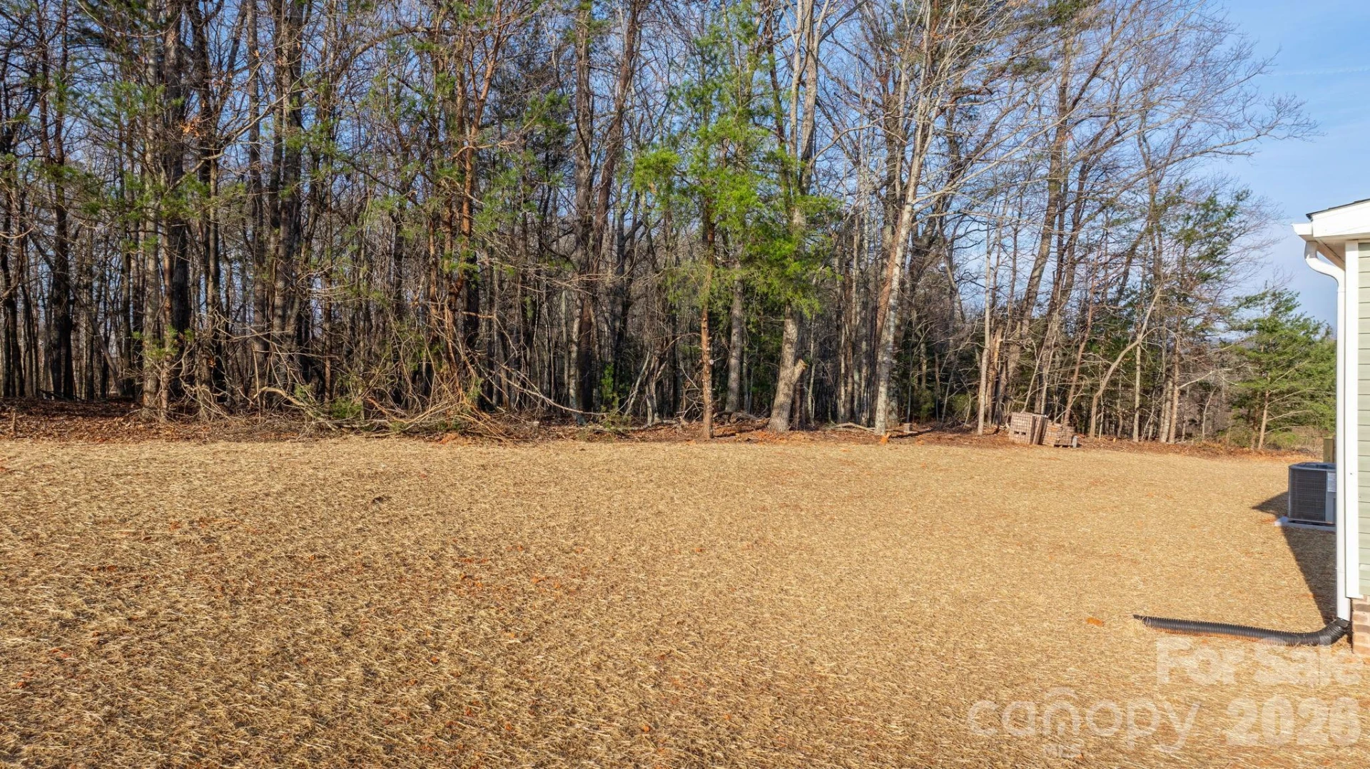 4963 Rhoney Road - Photo 29