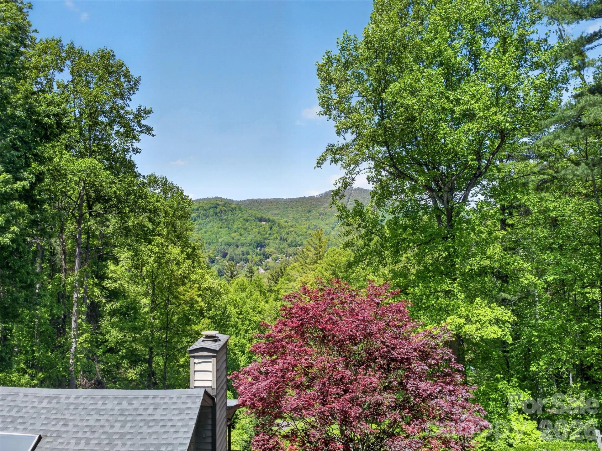 255 Westover Lane - Photo 39