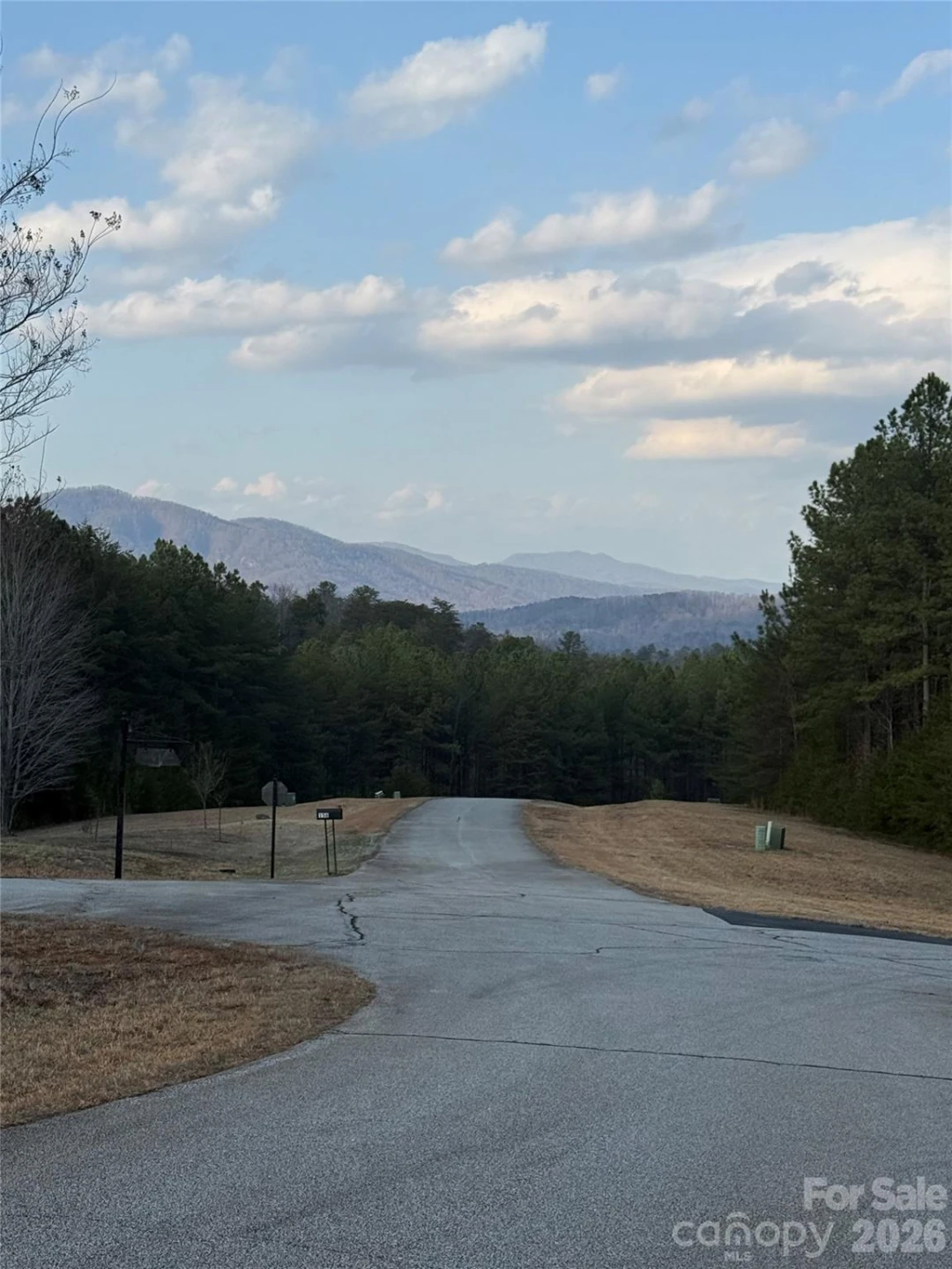 109 Spring Hollow Road - Photo 2