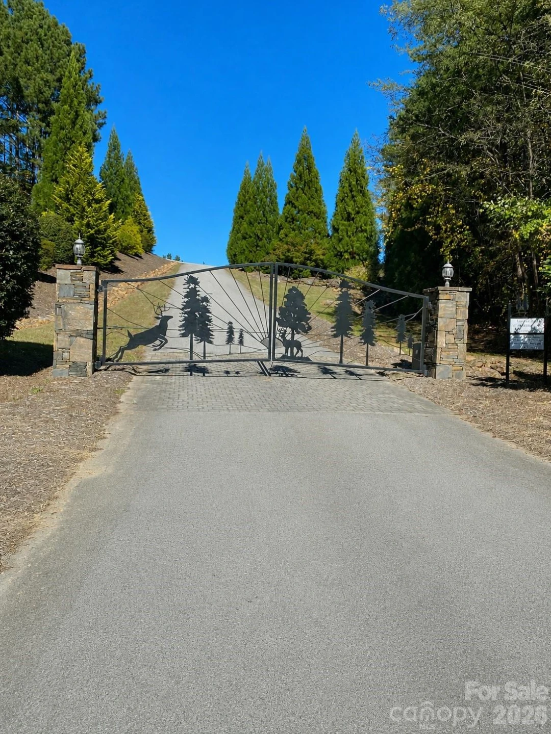 109 Spring Hollow Road - Photo 8