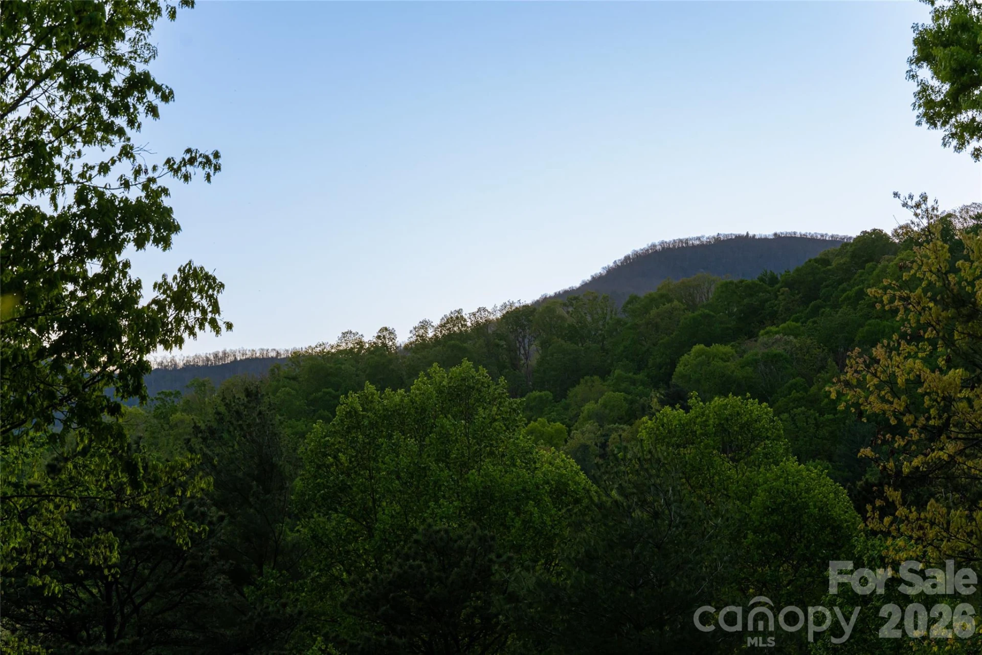 2159 North Fork Right Fork Road - Photo 46