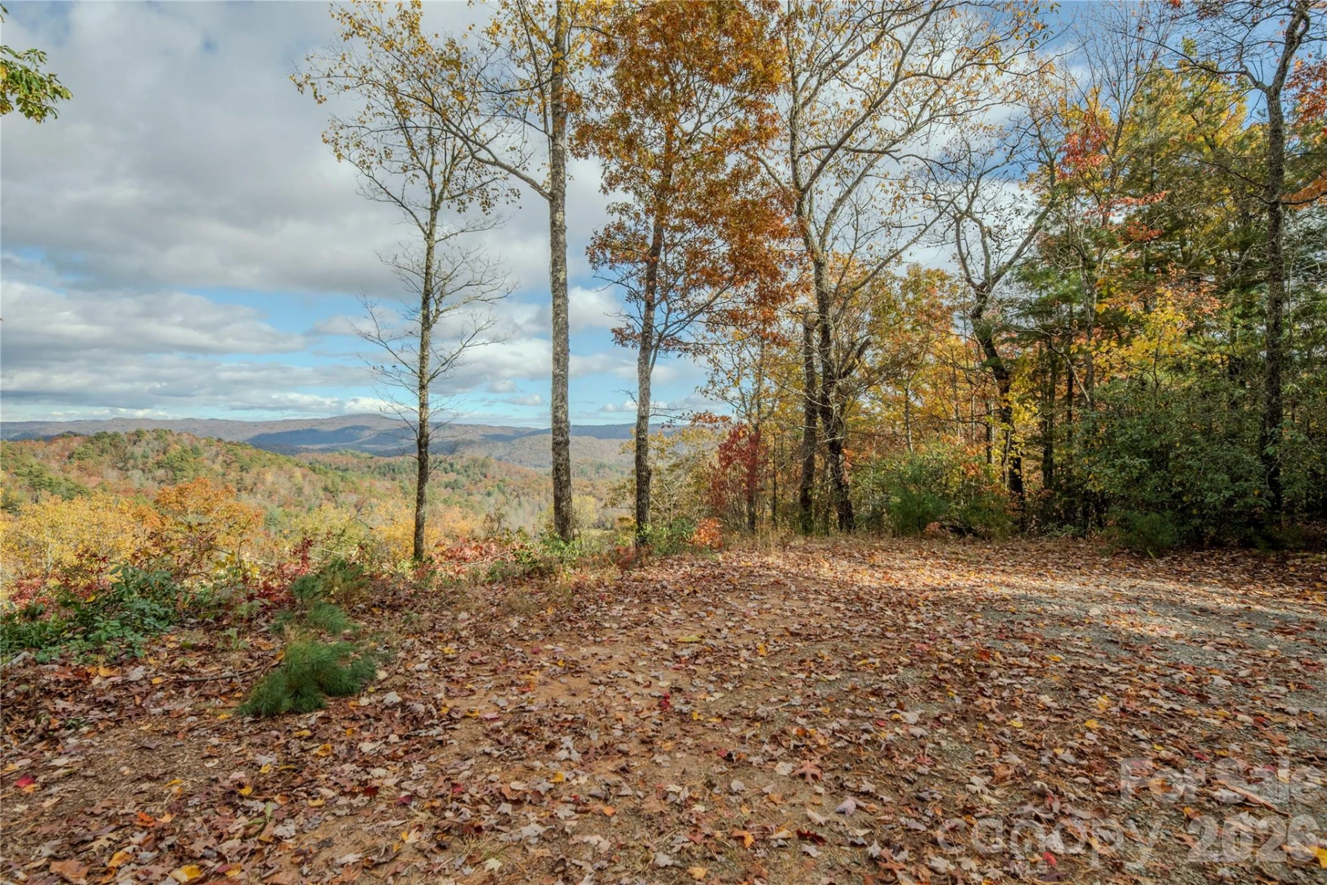 195 Still Waters Lane - Photo 45