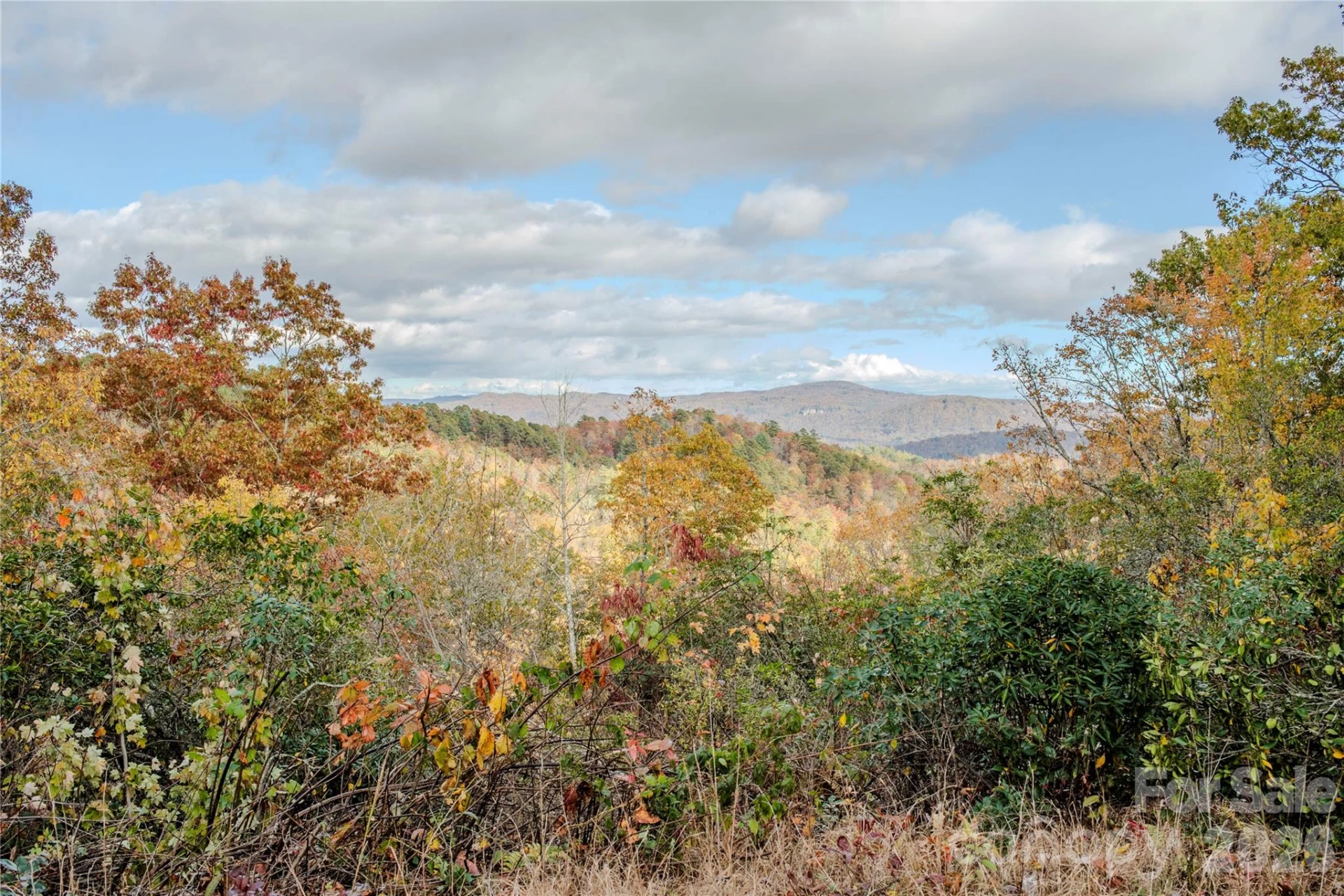 195 Still Waters Lane - Photo 46