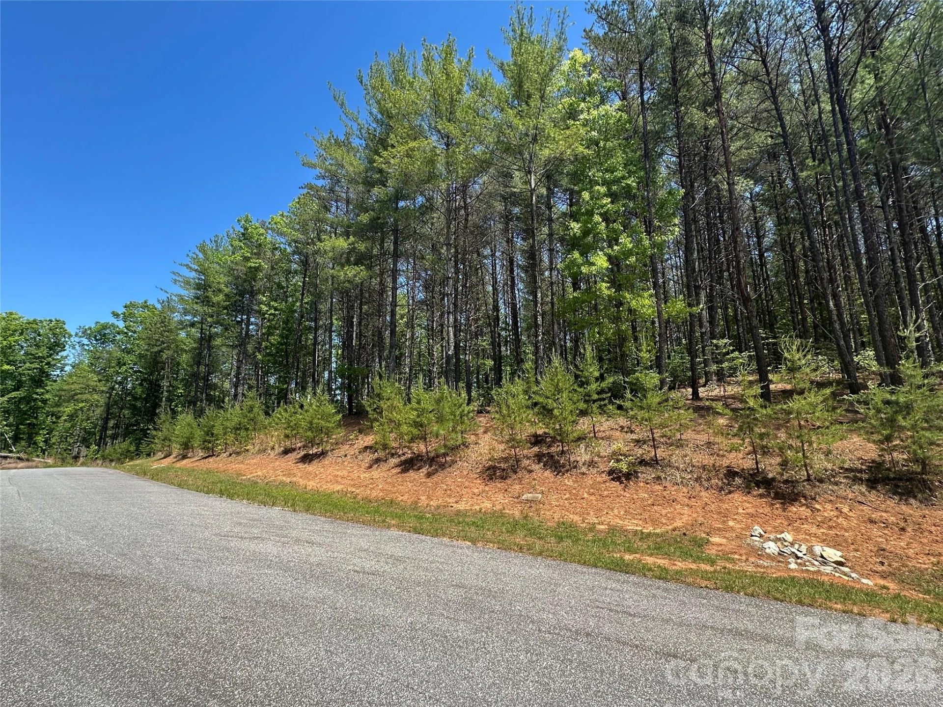 3227 Ella Marie Way - Photo 4