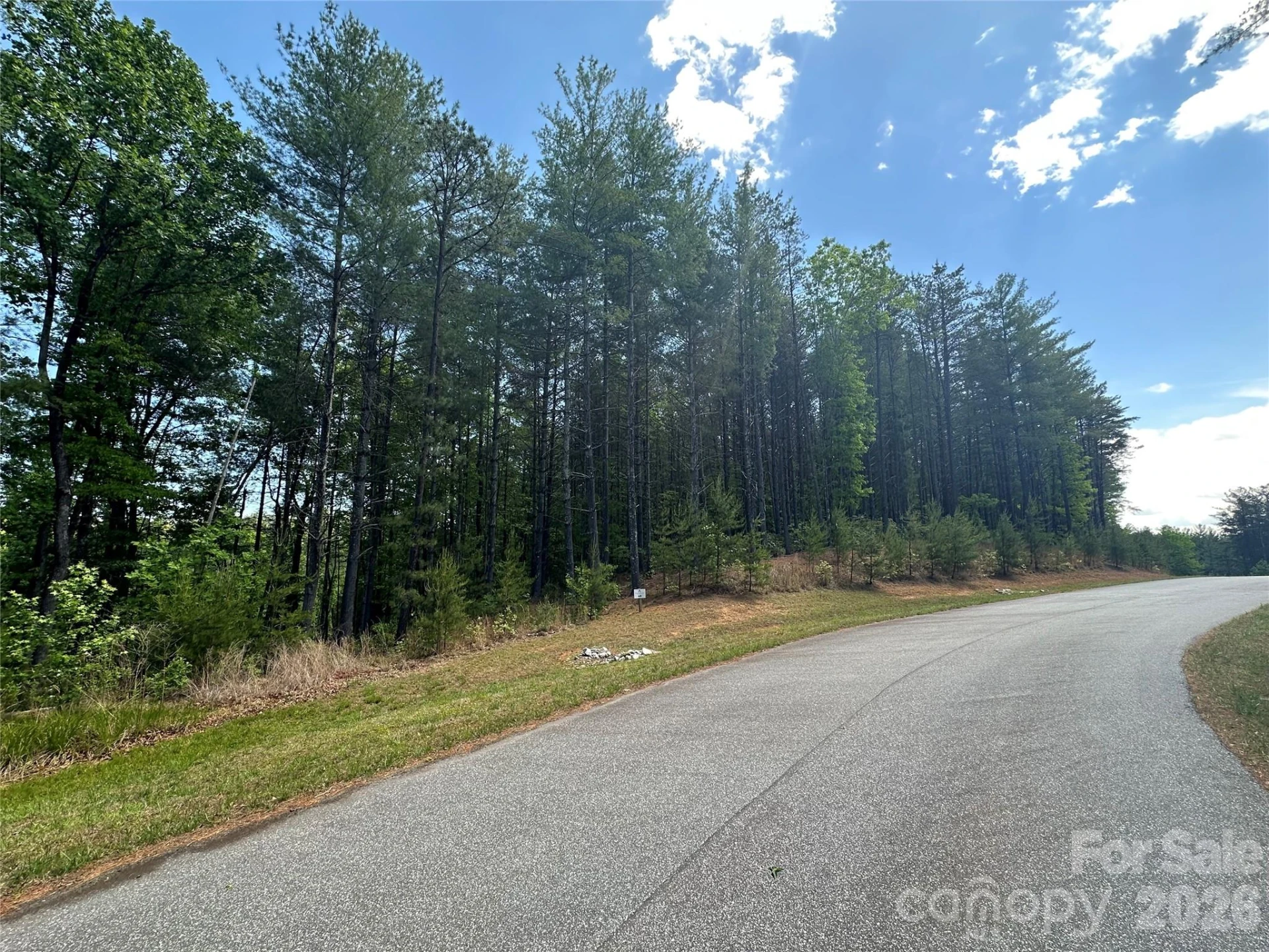 3227 Ella Marie Way - Photo 5