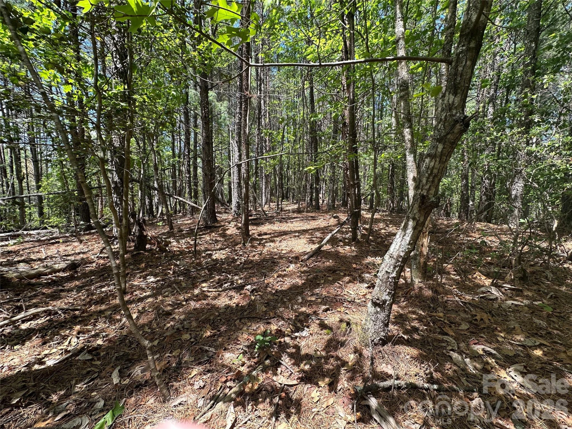 3227 Ella Marie Way - Photo 8