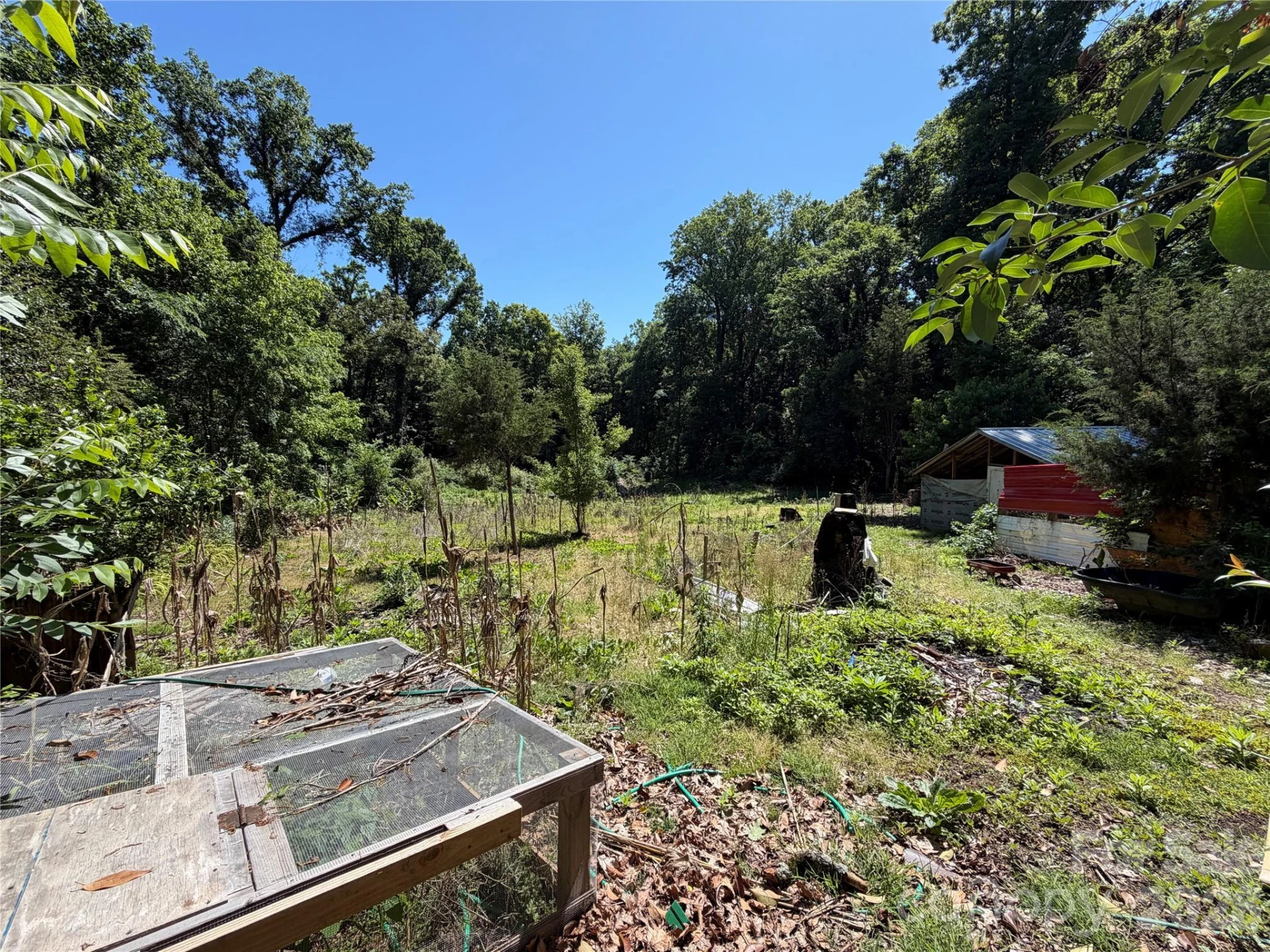 6228 Freedom Drive - Photo 16