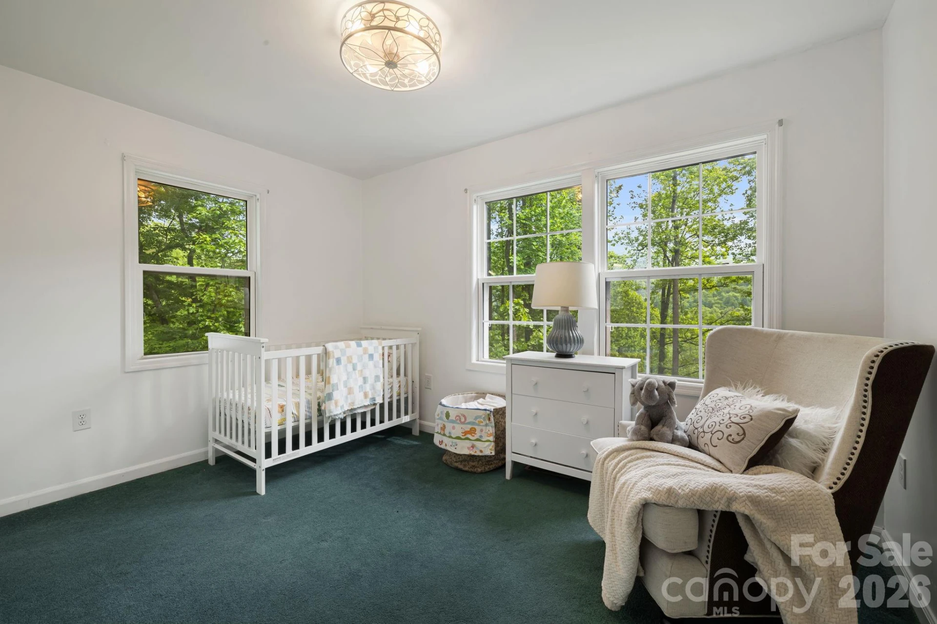 107 Mercy Ridge None - Photo 26