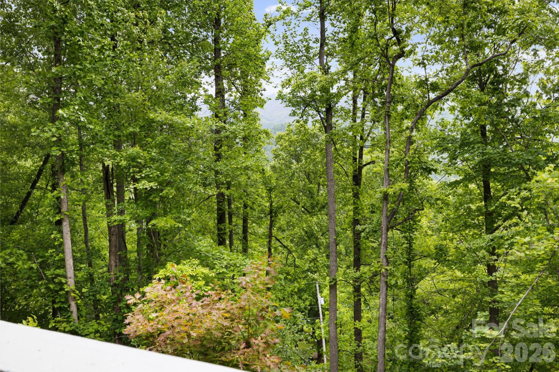 107 Mercy Ridge None - Photo 28