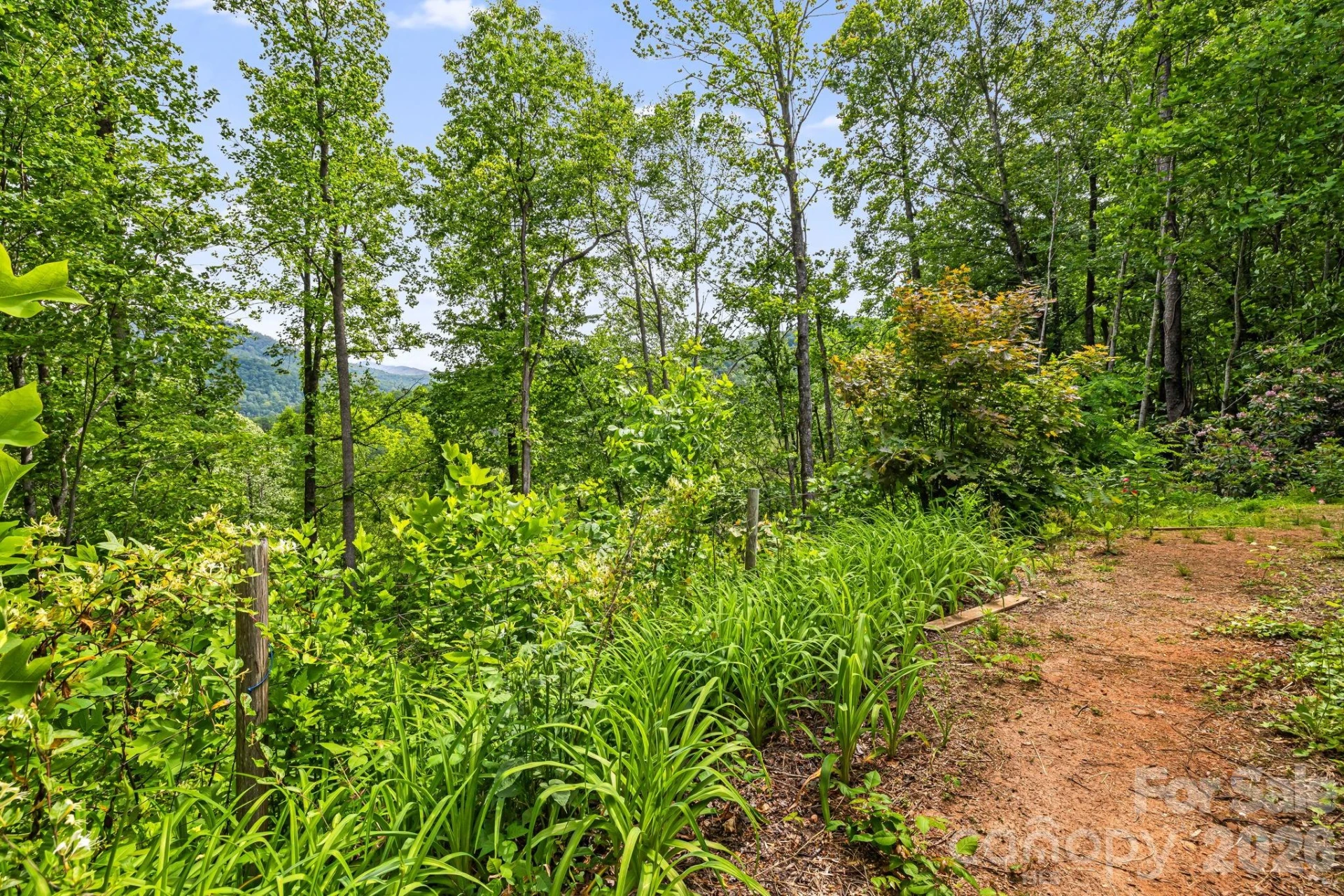 107 Mercy Ridge None - Photo 42