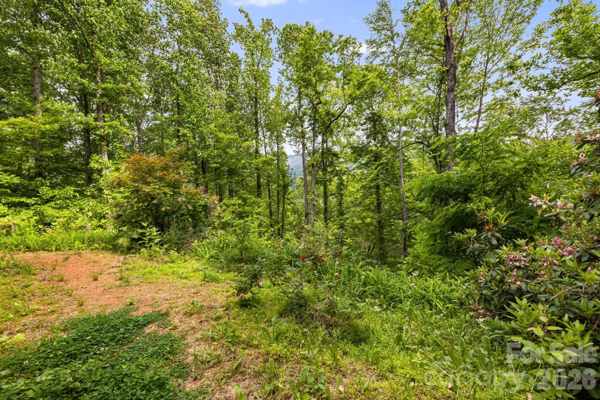 107 Mercy Ridge None - Photo 43