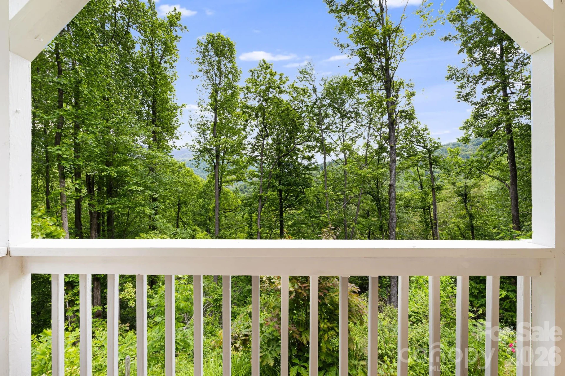 107 Mercy Ridge None - Photo 6