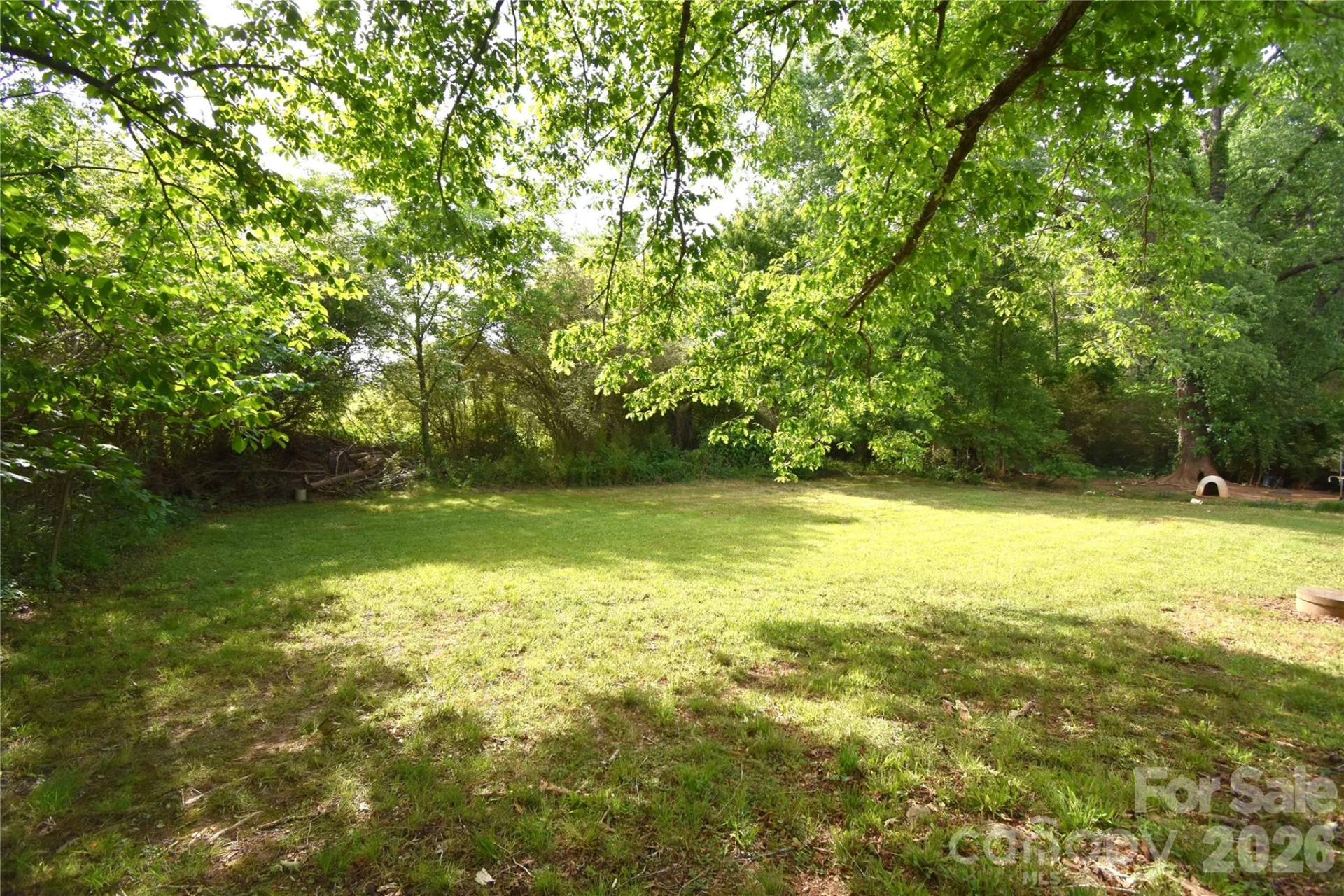 3549 Boyette Road - Photo 4