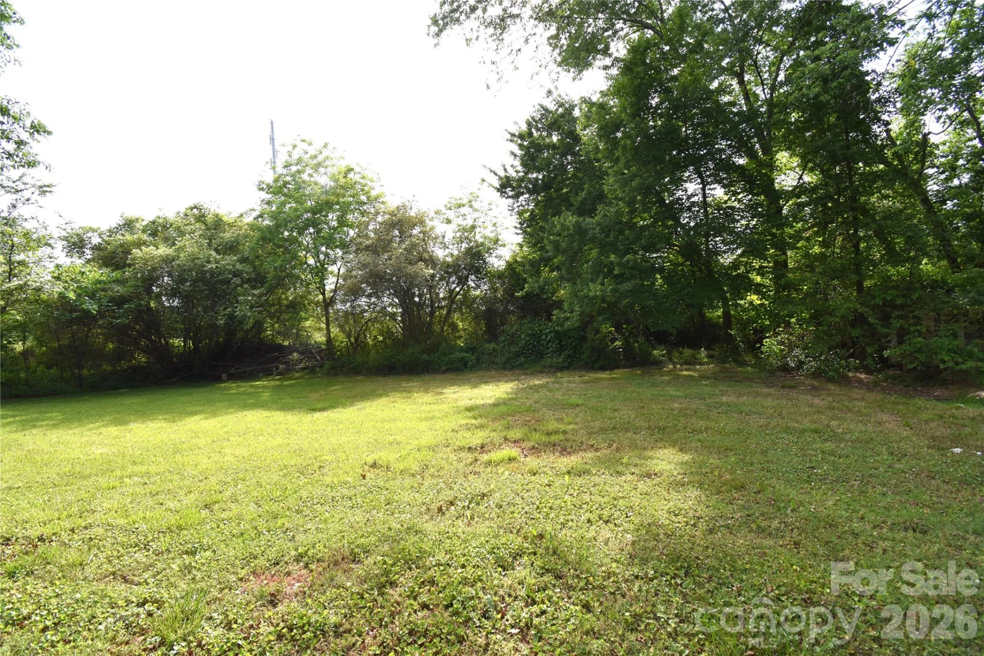 3549 Boyette Road - Photo 5