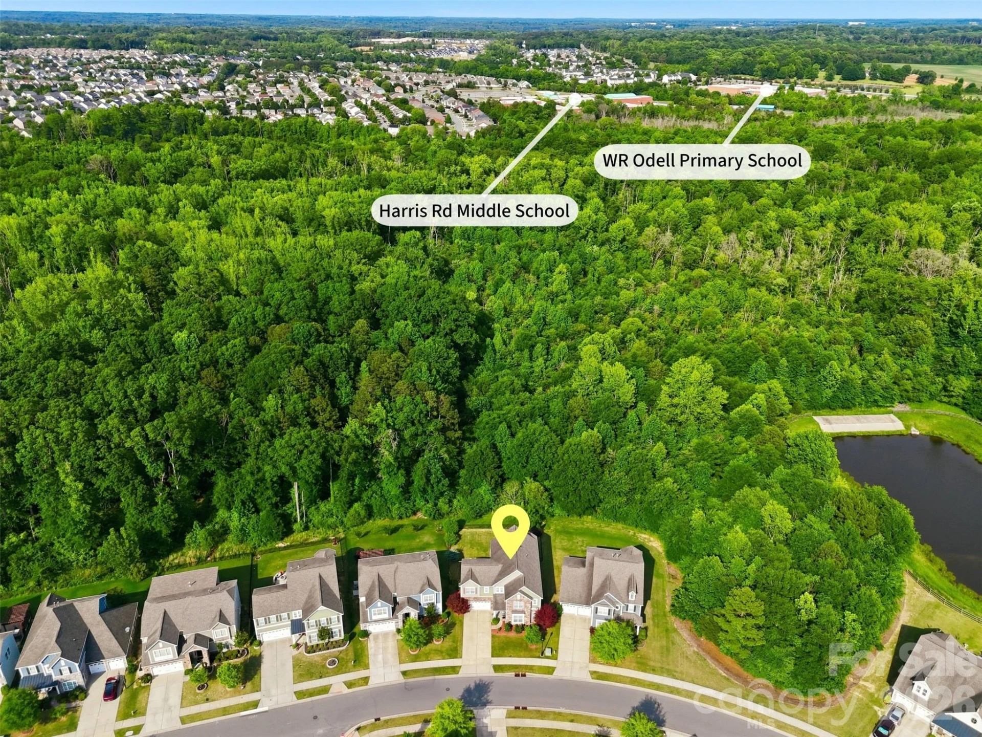10580 Skipping Rock Lane - Photo 44