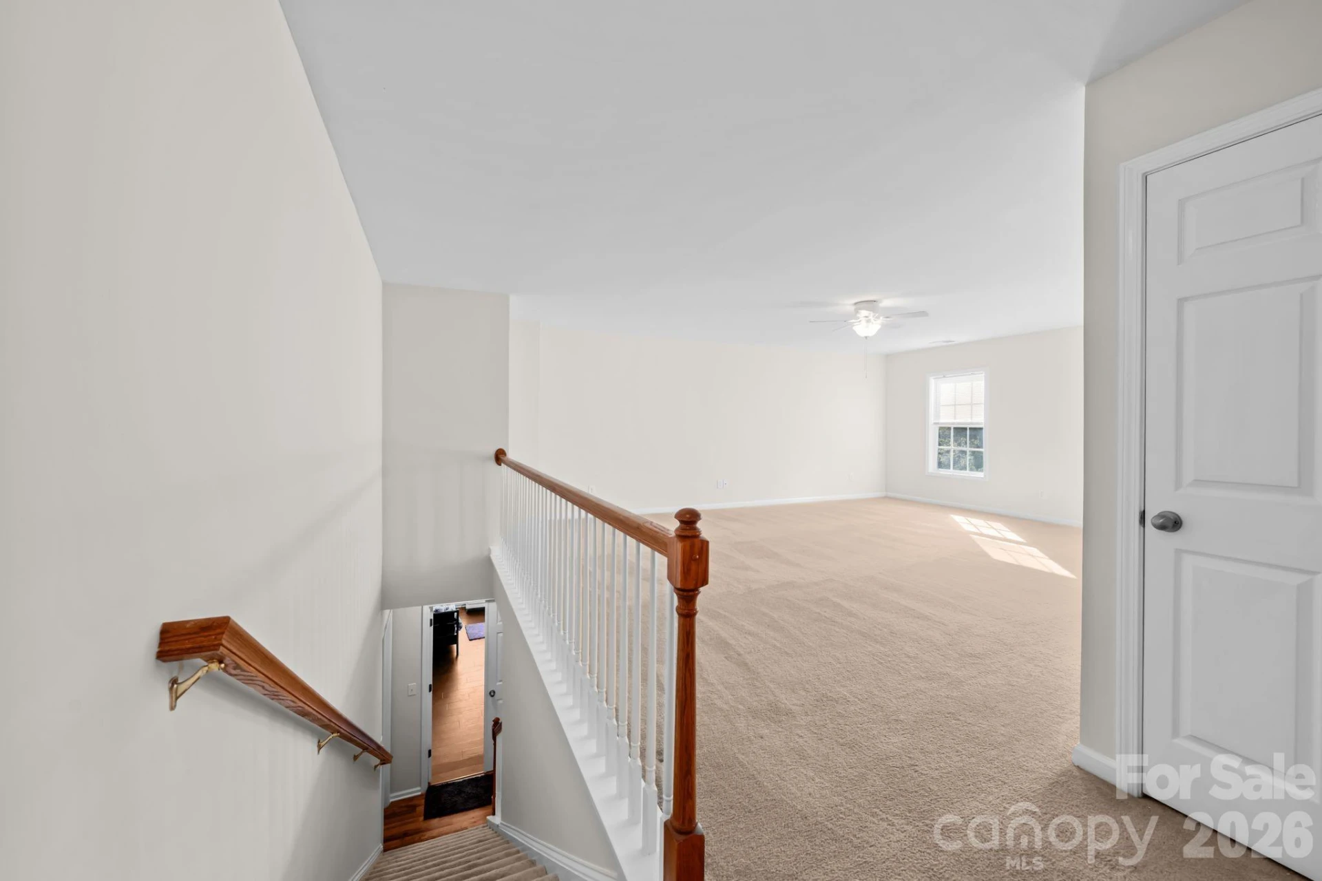 8423 Mossy Cup Trail - Photo 24