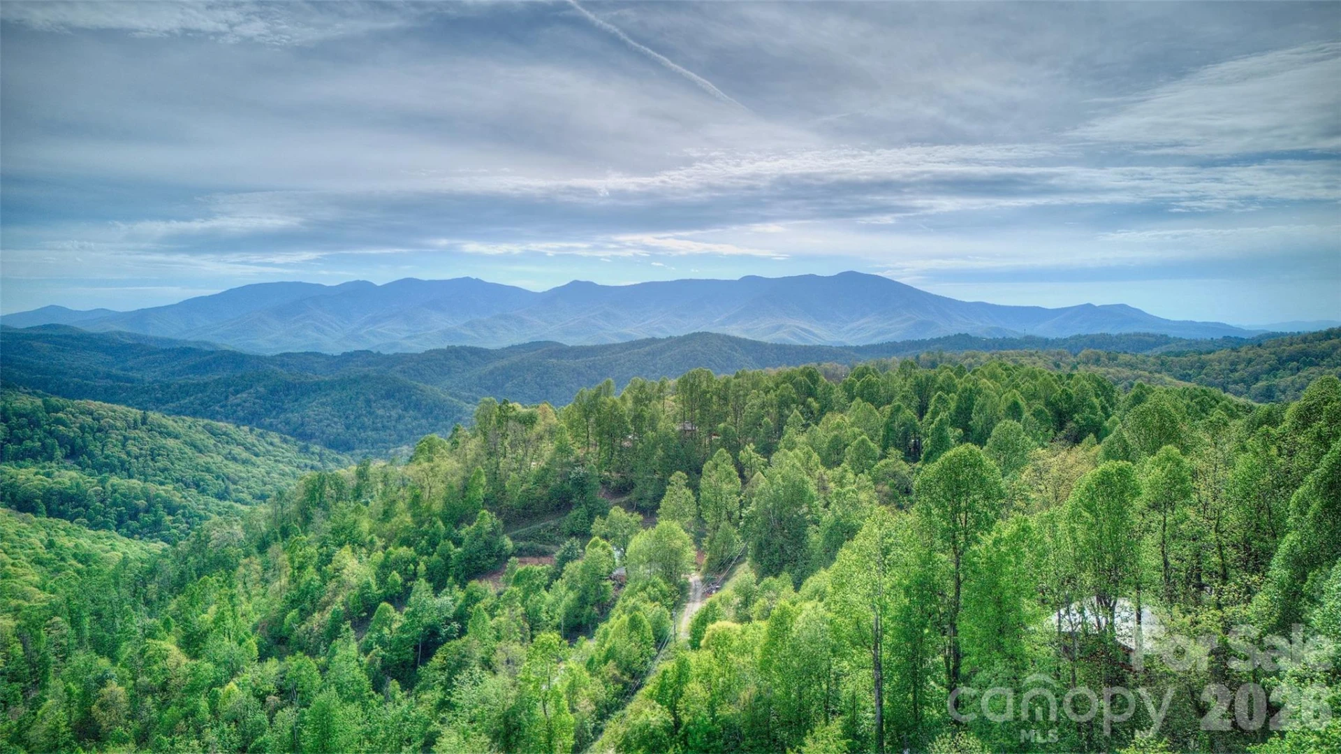262 Azalea Hills Lane - Photo 43