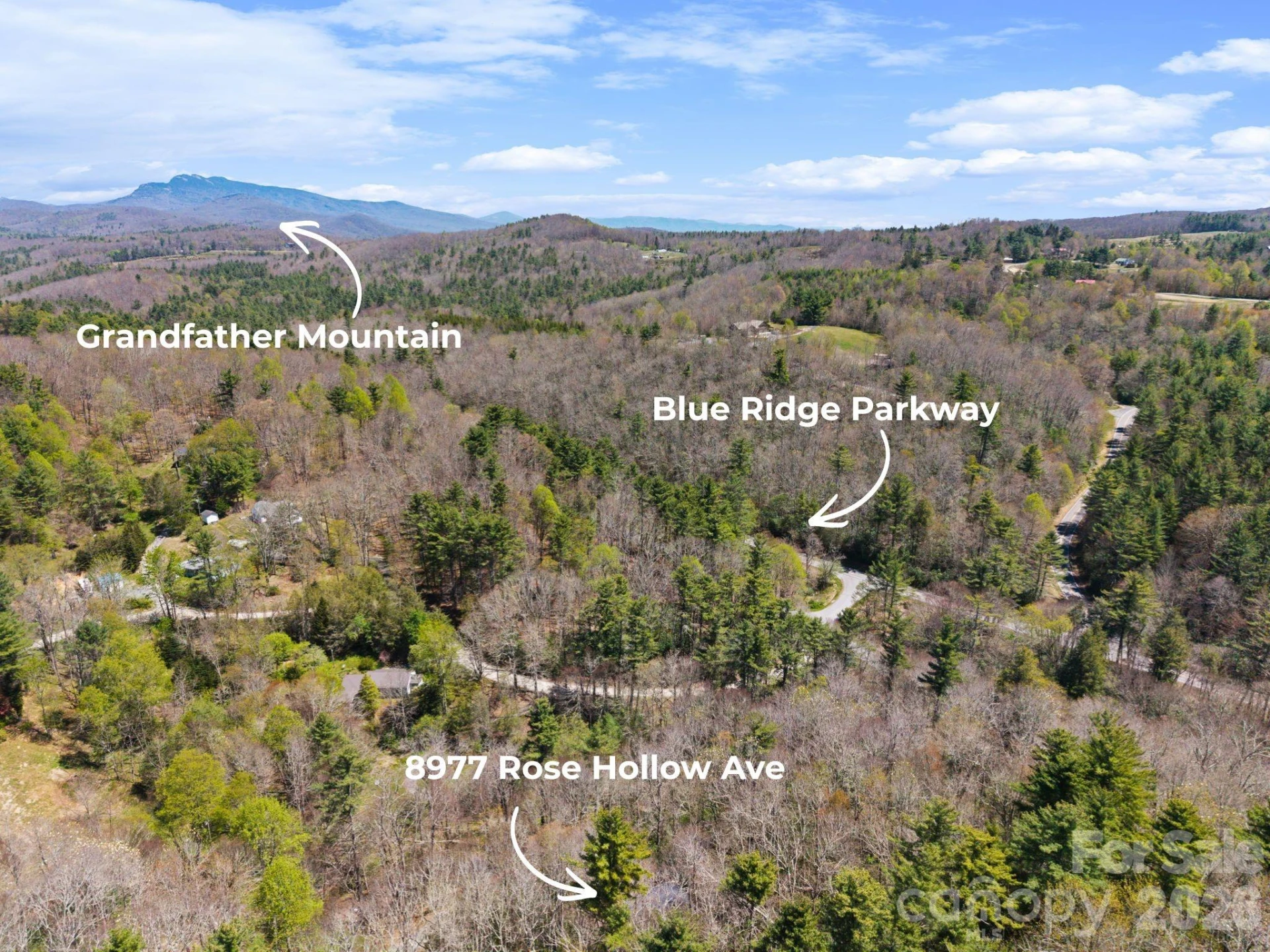 8977 Rose Hollow Avenue - Photo 2