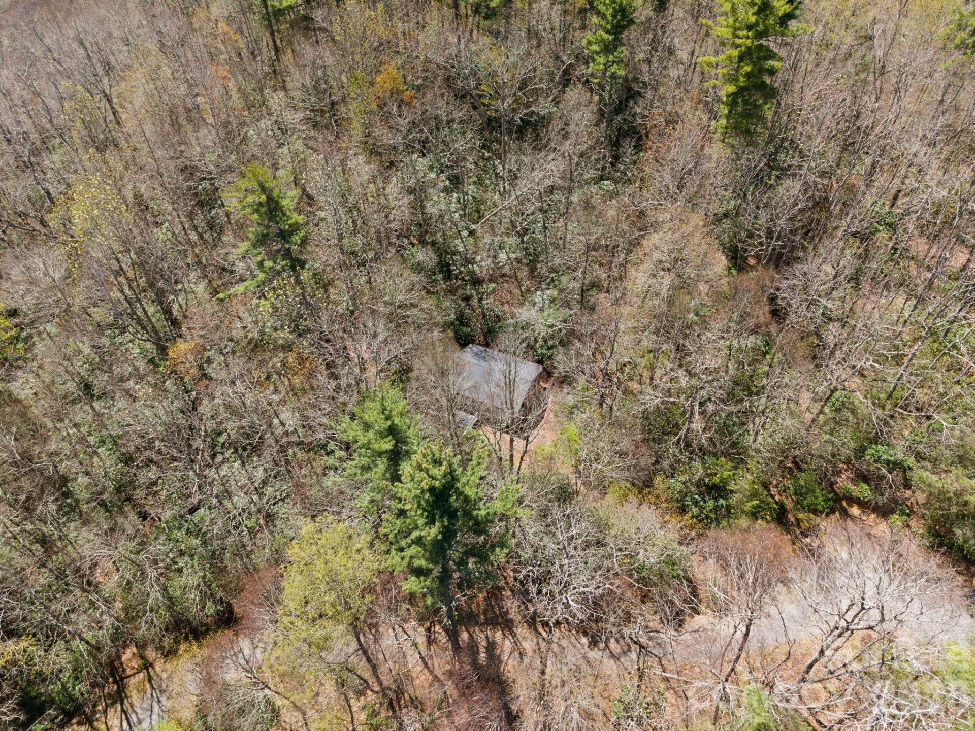 8977 Rose Hollow Avenue - Photo 21