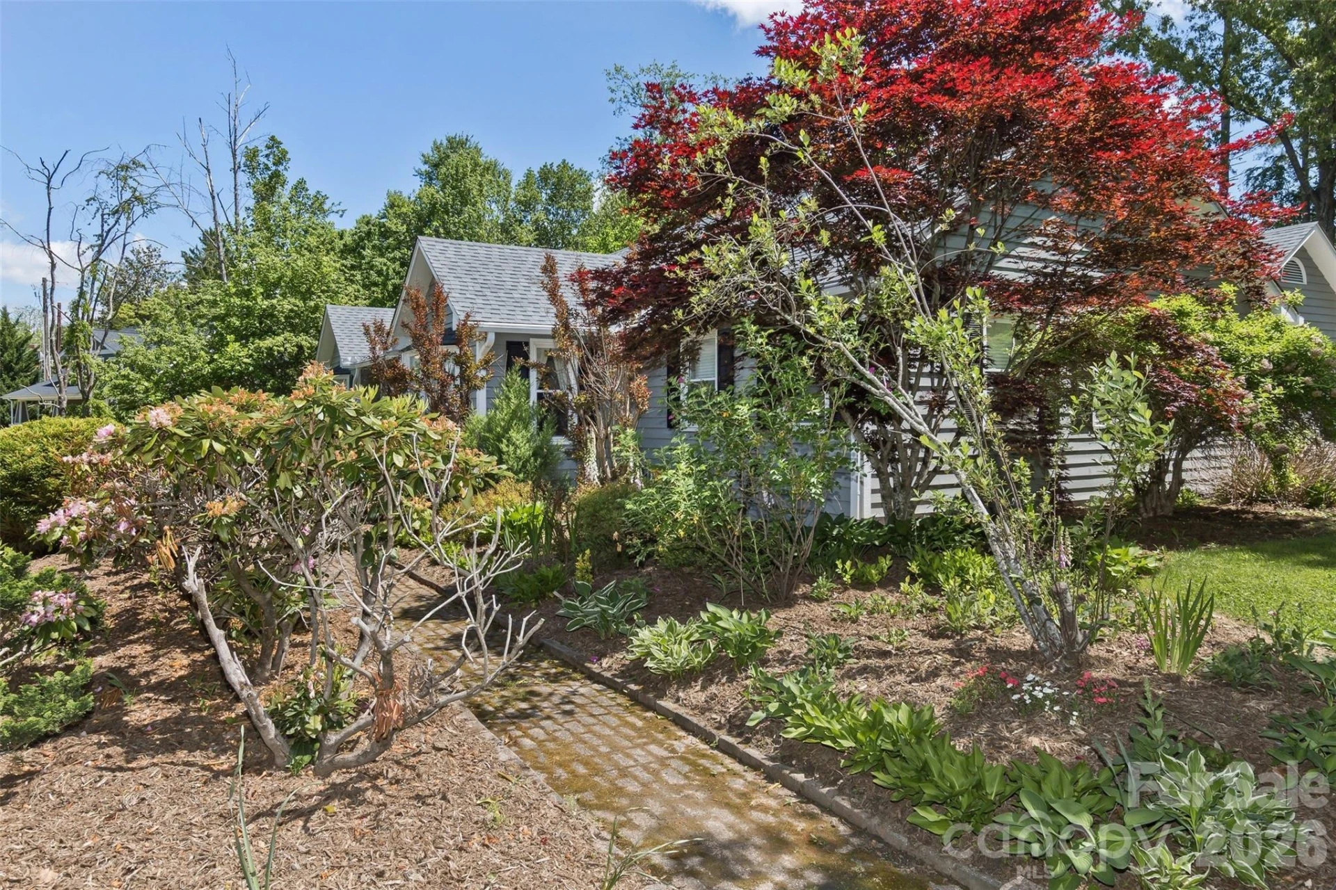 10 Applecross Road - Photo 7