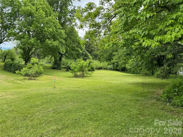 46 GREEN HILL Avenue, Asheville, NC, 28806