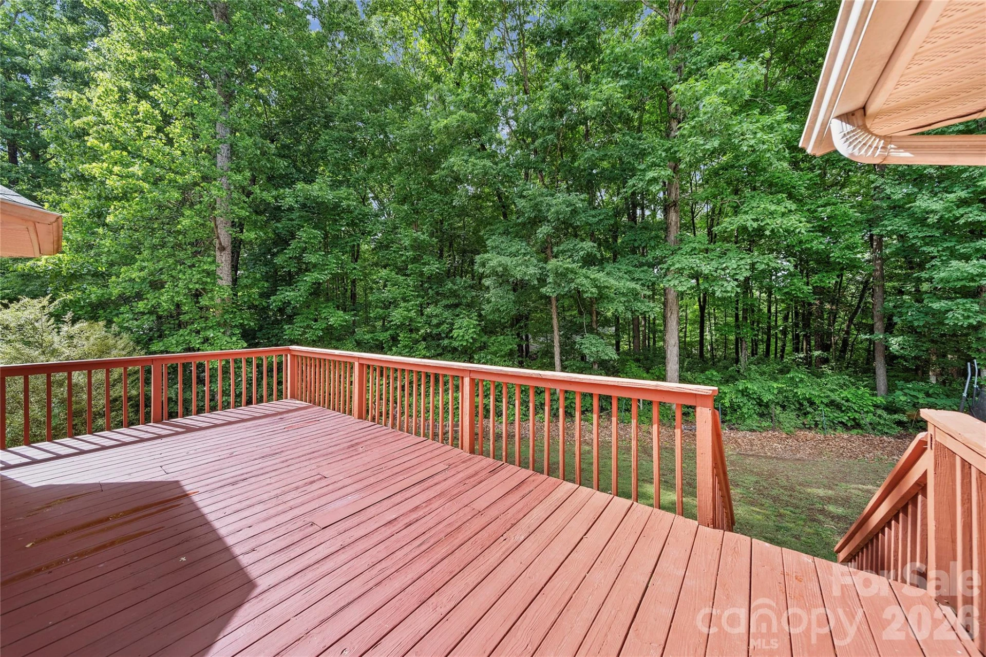 4808 Liska Court - Photo 32