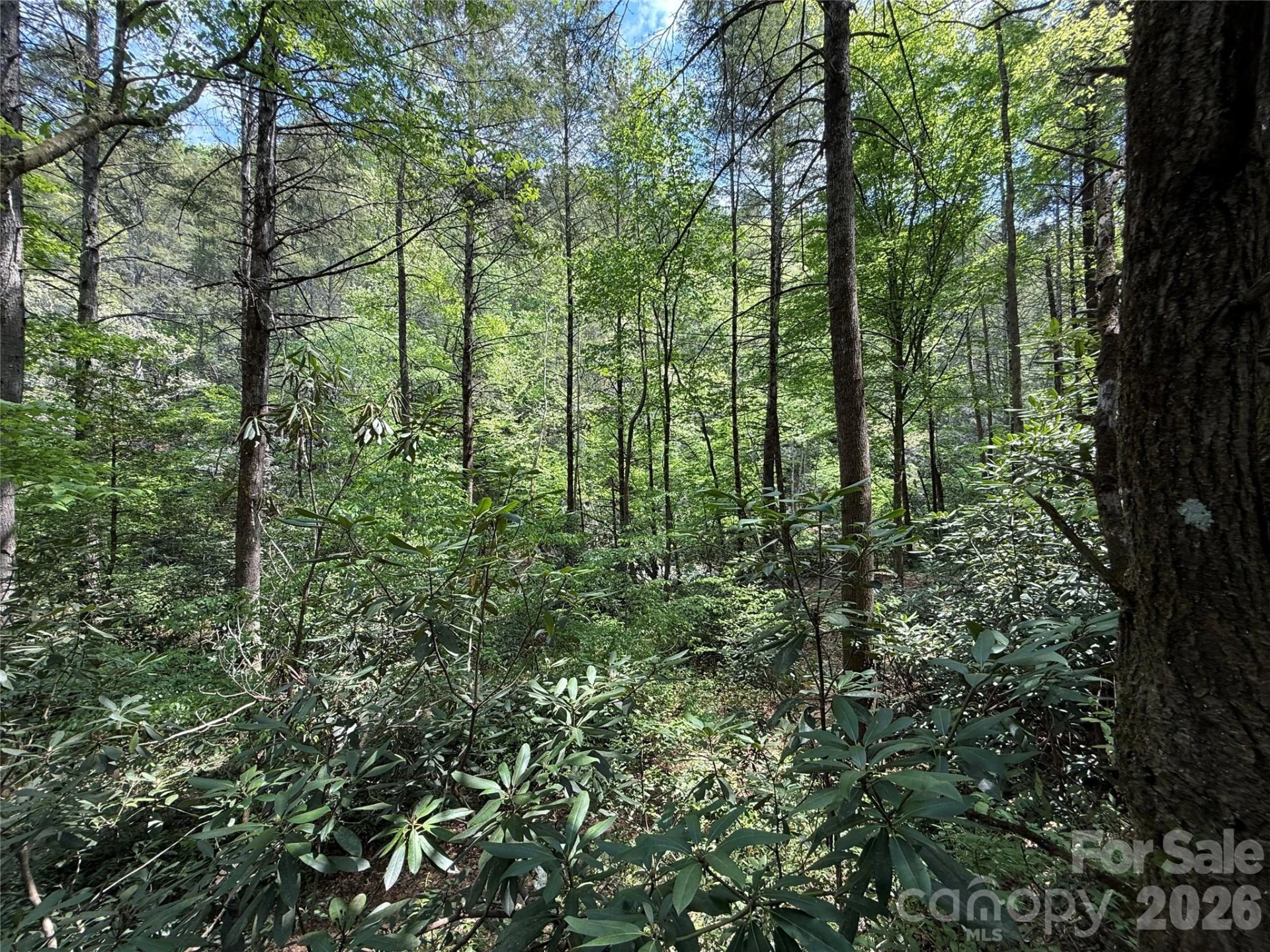 000 Kings Glen Road - Photo 11