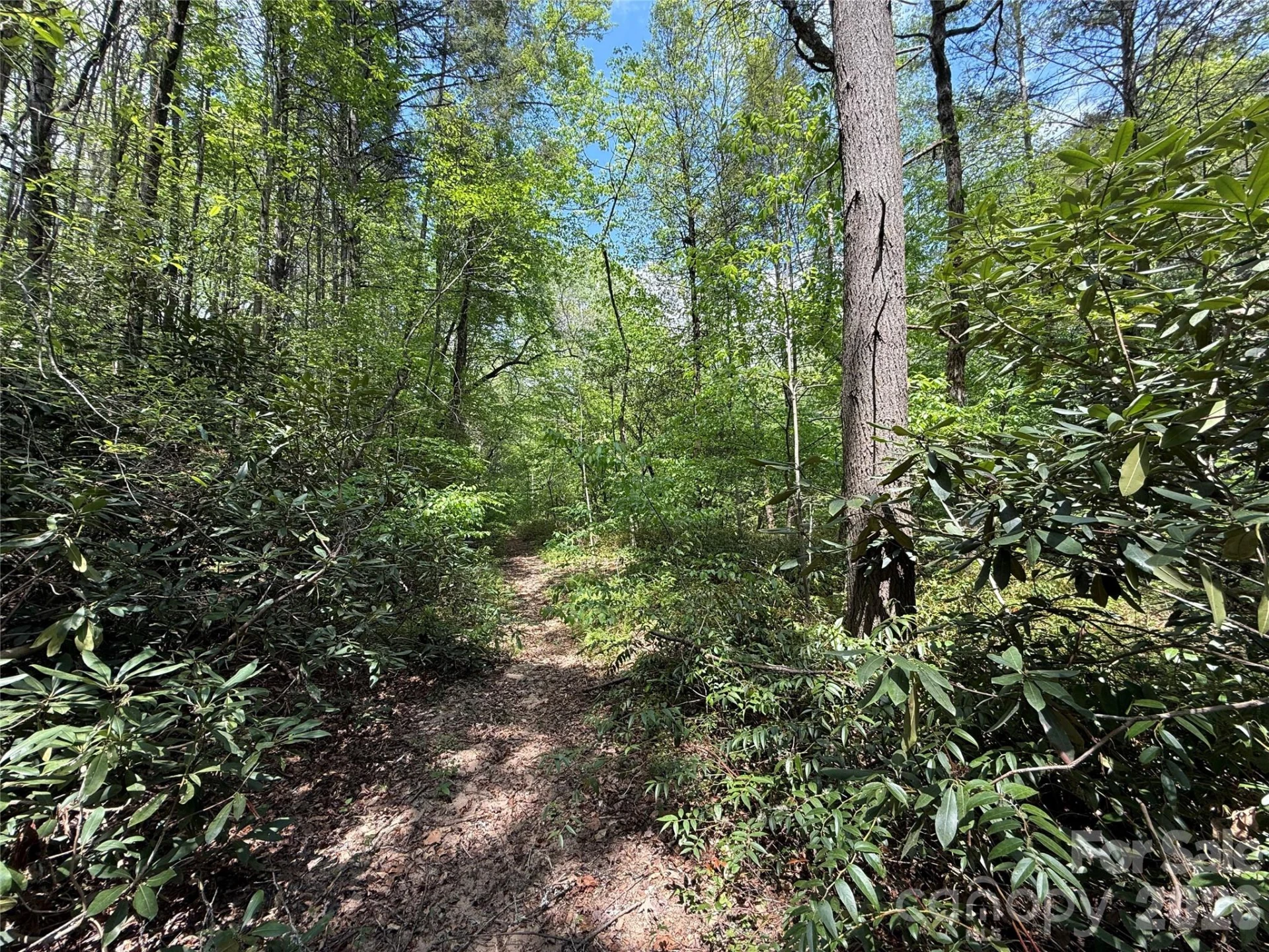 000 Kings Glen Road - Photo 12
