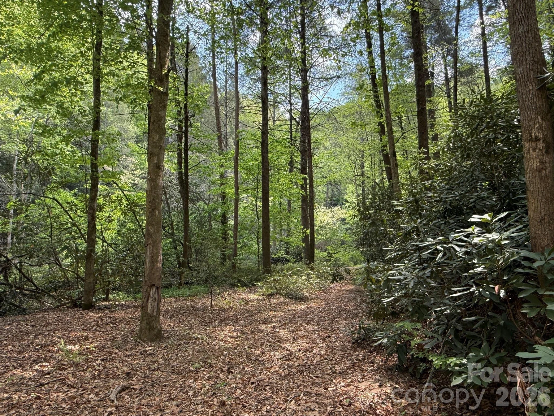 000 Kings Glen Road - Photo 15