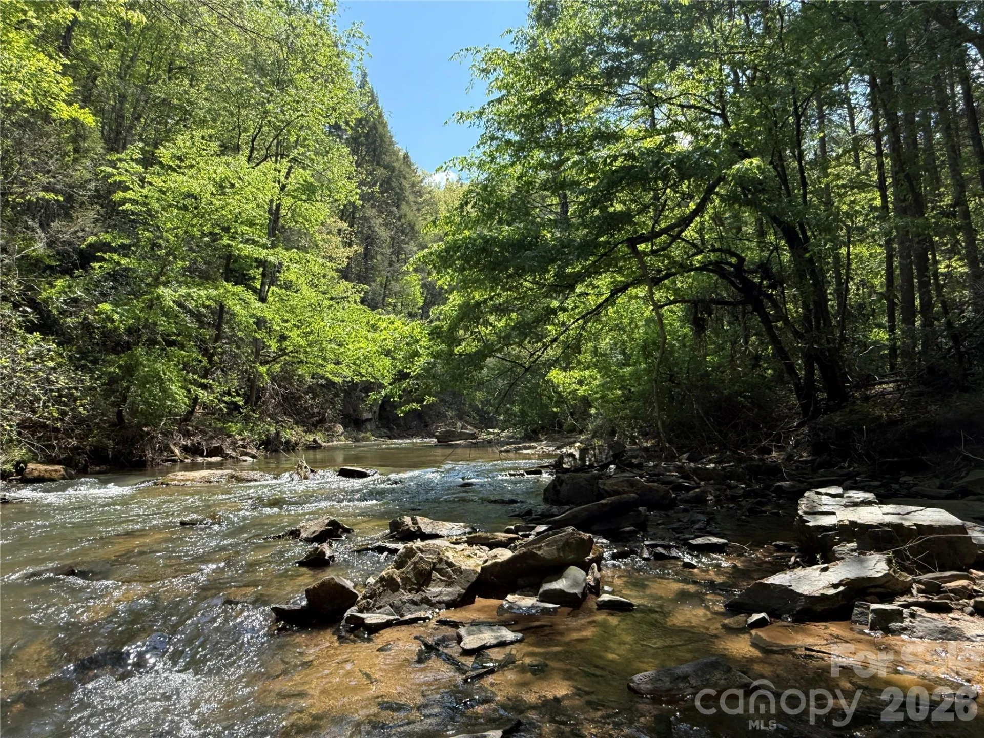 000 Kings Glen Road - Photo 16