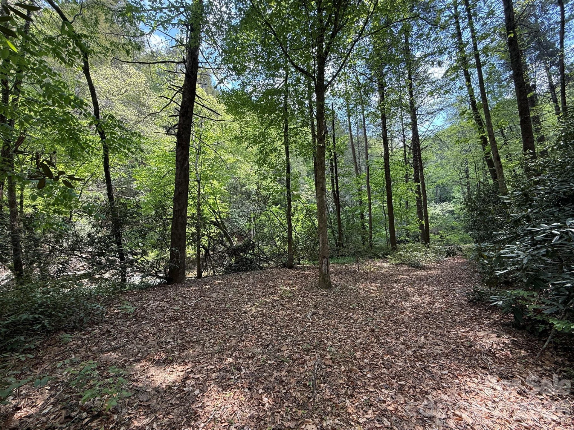 000 Kings Glen Road - Photo 4