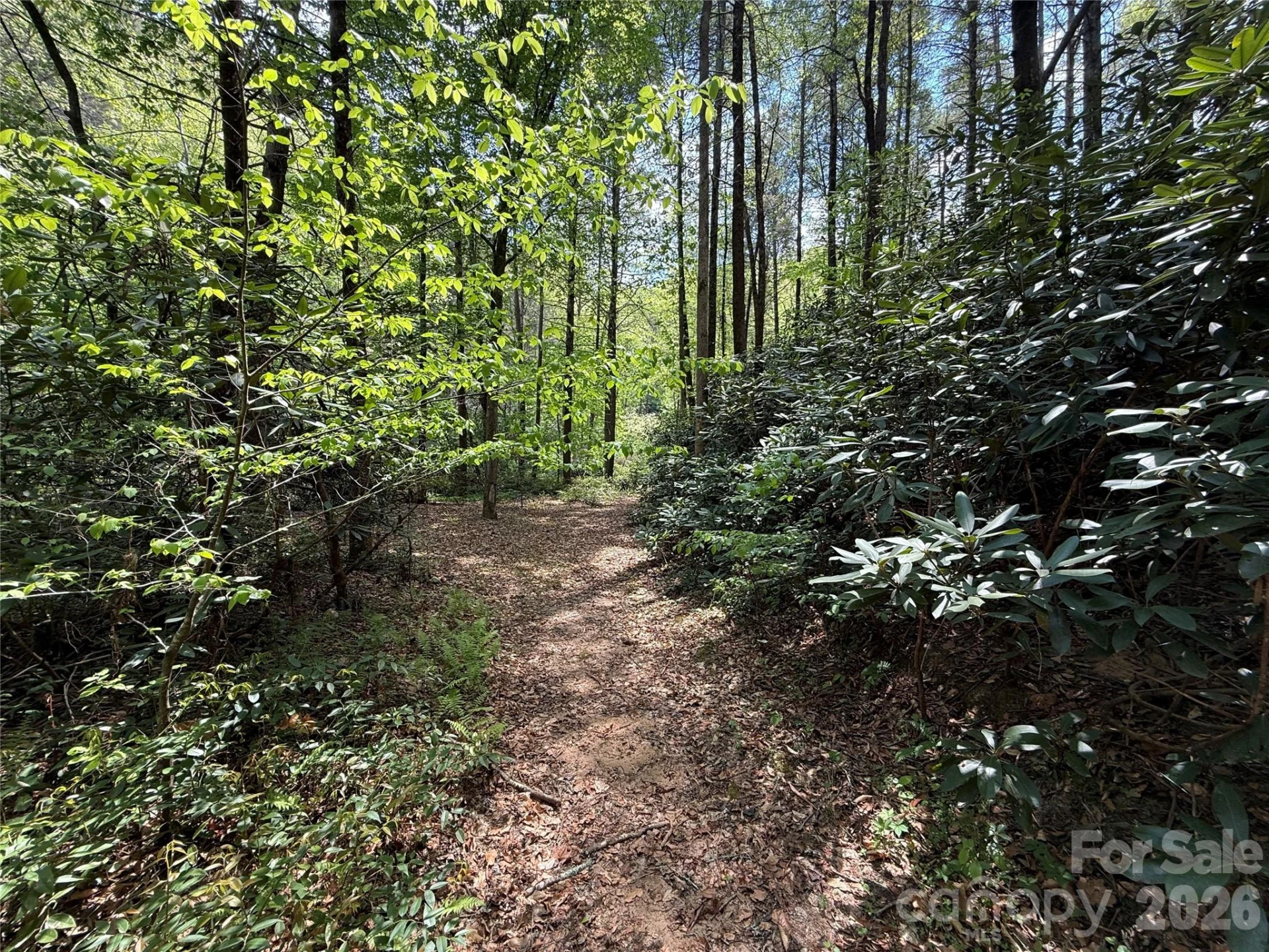 000 Kings Glen Road - Photo 5